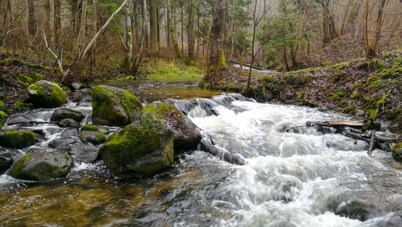 HUAWEI Honor 8 sample photo. Wild, river, green photography