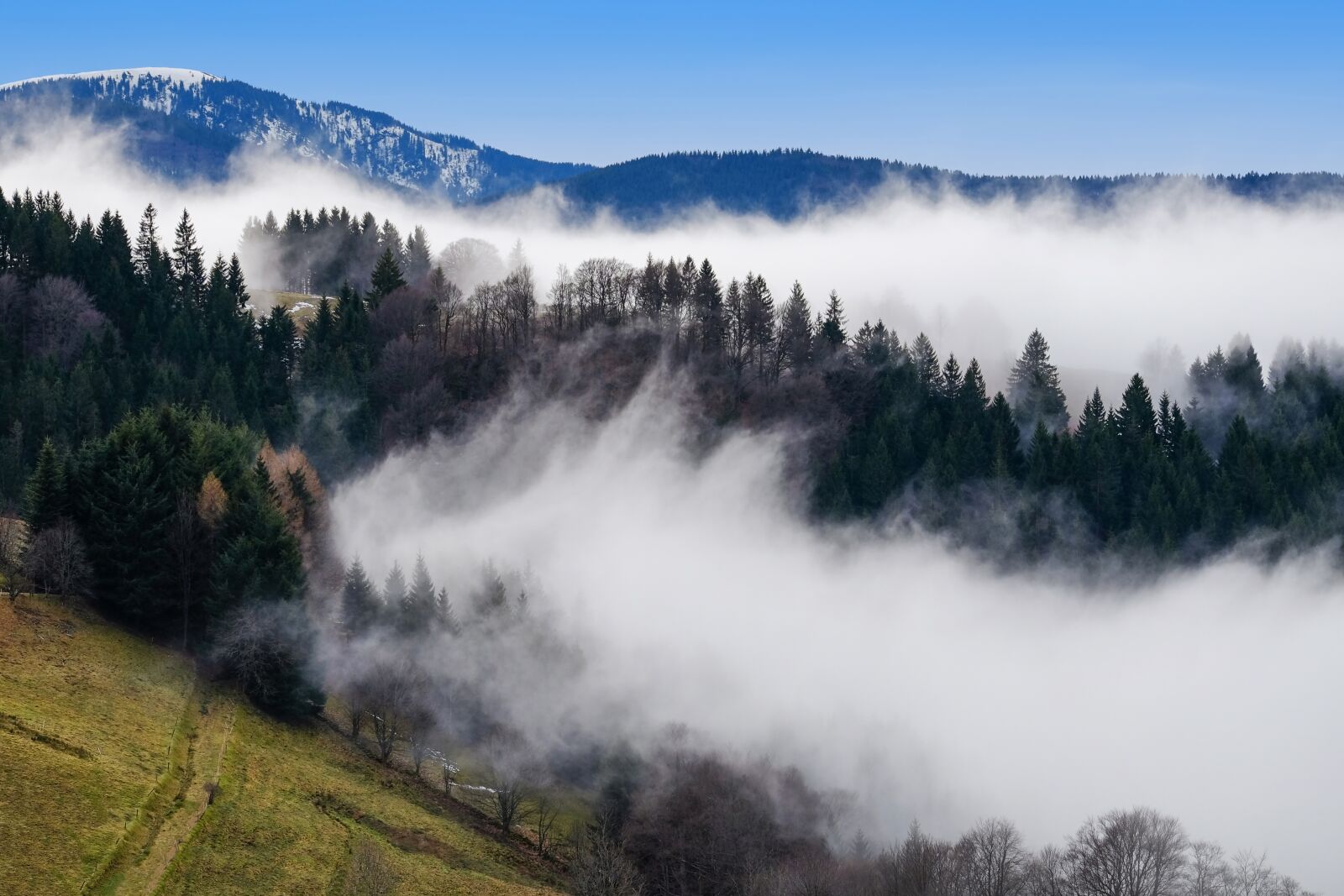 Fujifilm XF 55-200mm F3.5-4.8 R LM OIS sample photo. Fog, rising fog, steam photography