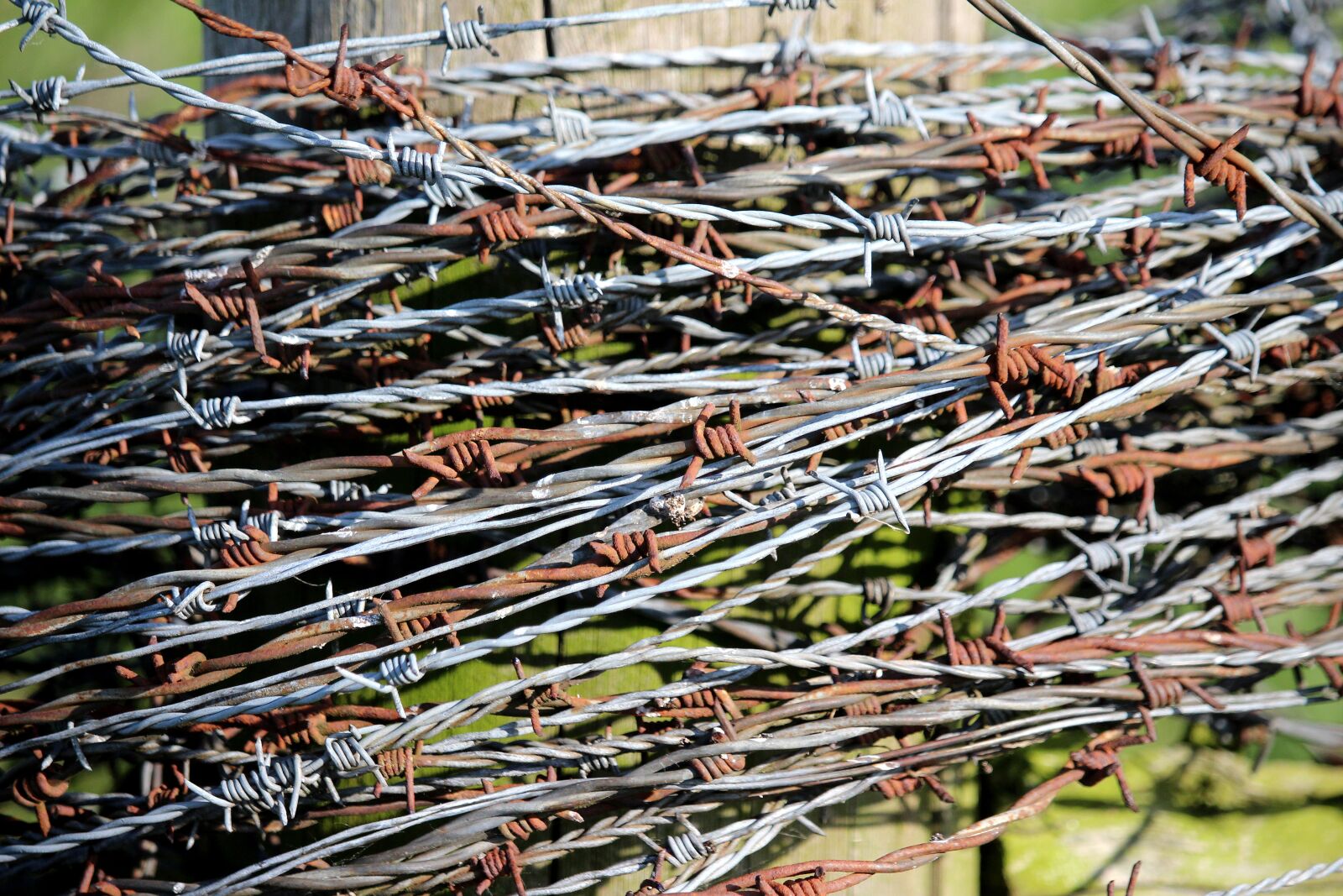 Canon EF-S 55-250mm F4-5.6 IS STM sample photo. Barbed wire, fence, old photography