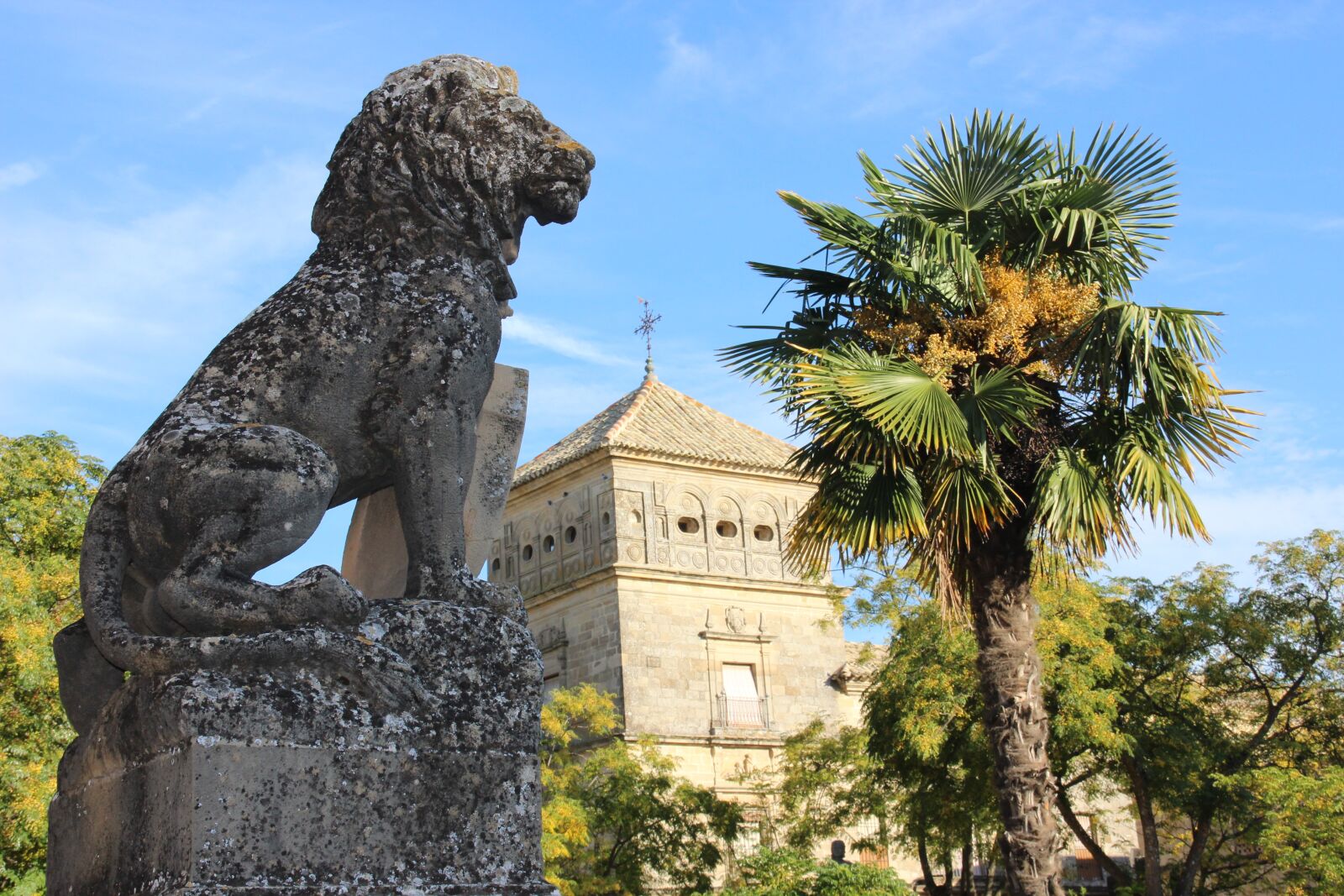 Canon EOS 600D (Rebel EOS T3i / EOS Kiss X5) sample photo. Travel, spain, andalusia photography