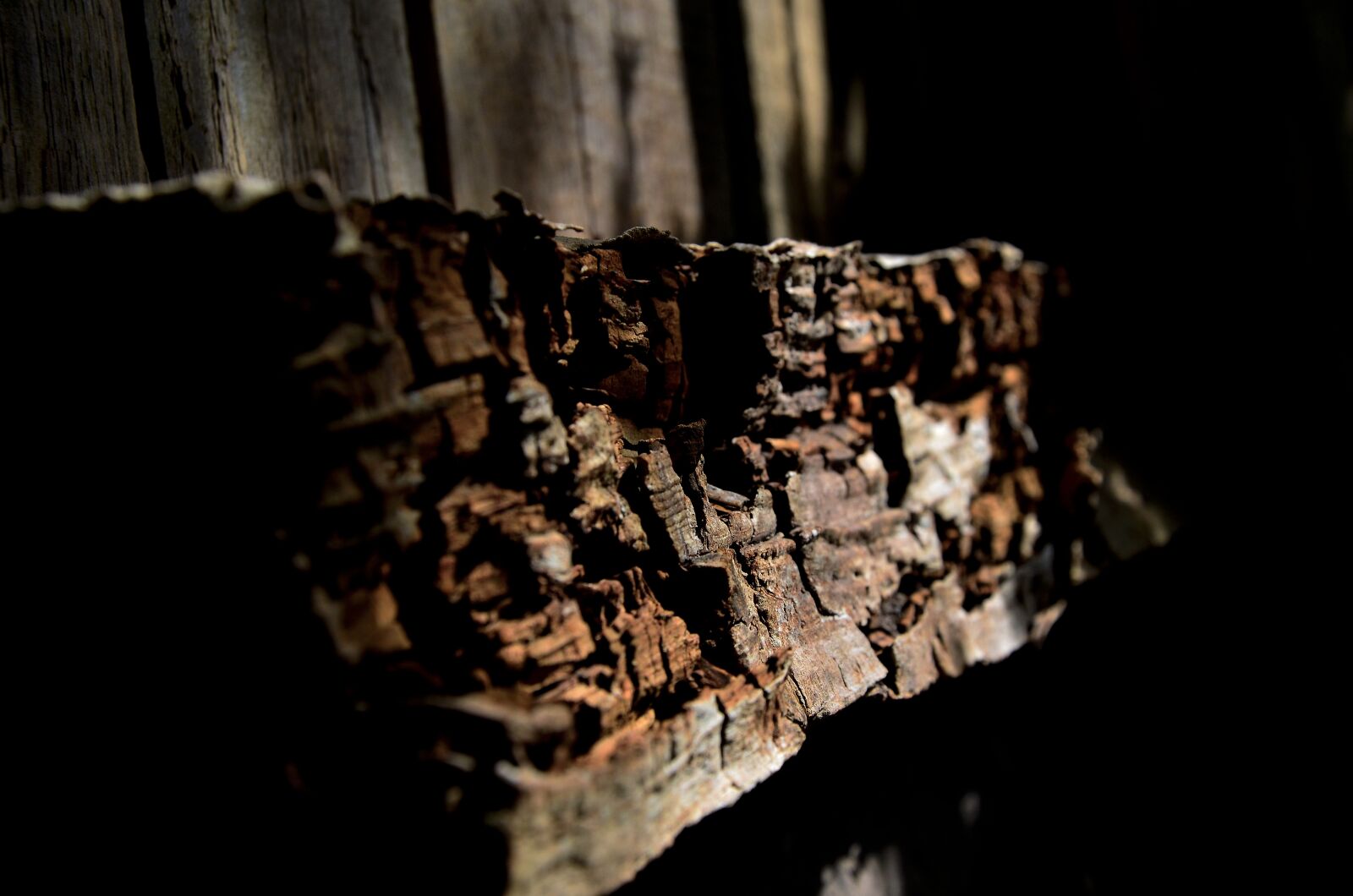 Nikon D5100 sample photo. Wood, morsch, old photography
