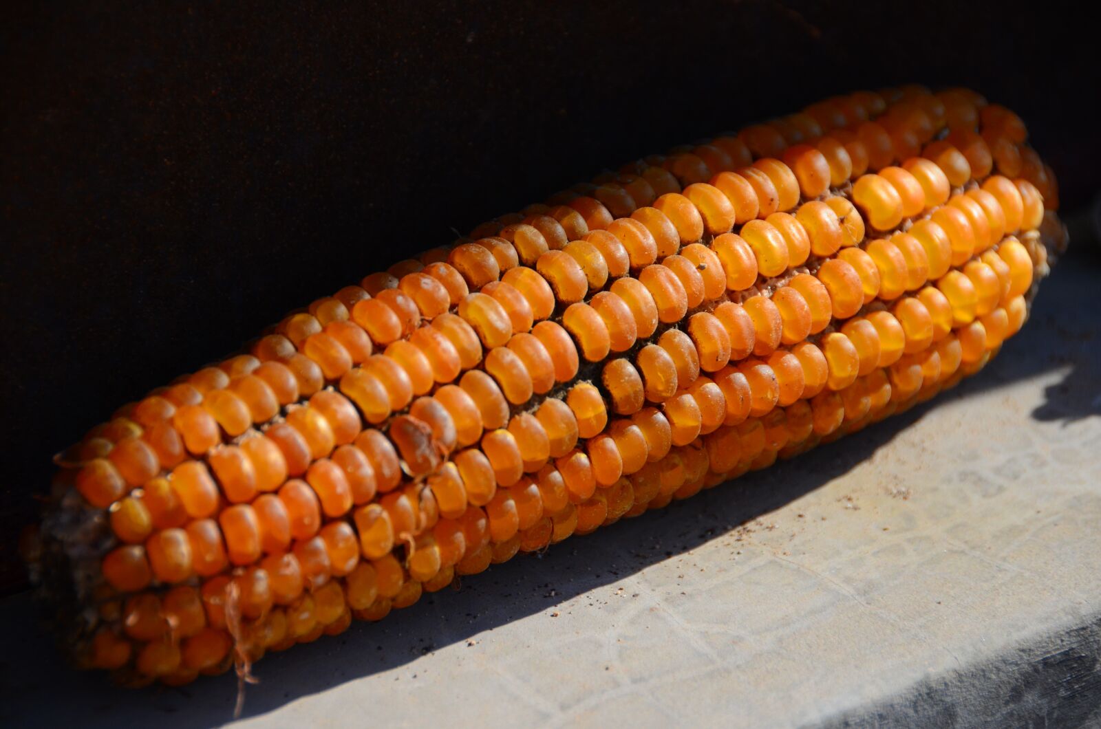 Nikon D7000 sample photo. Yellow, maize, china photography