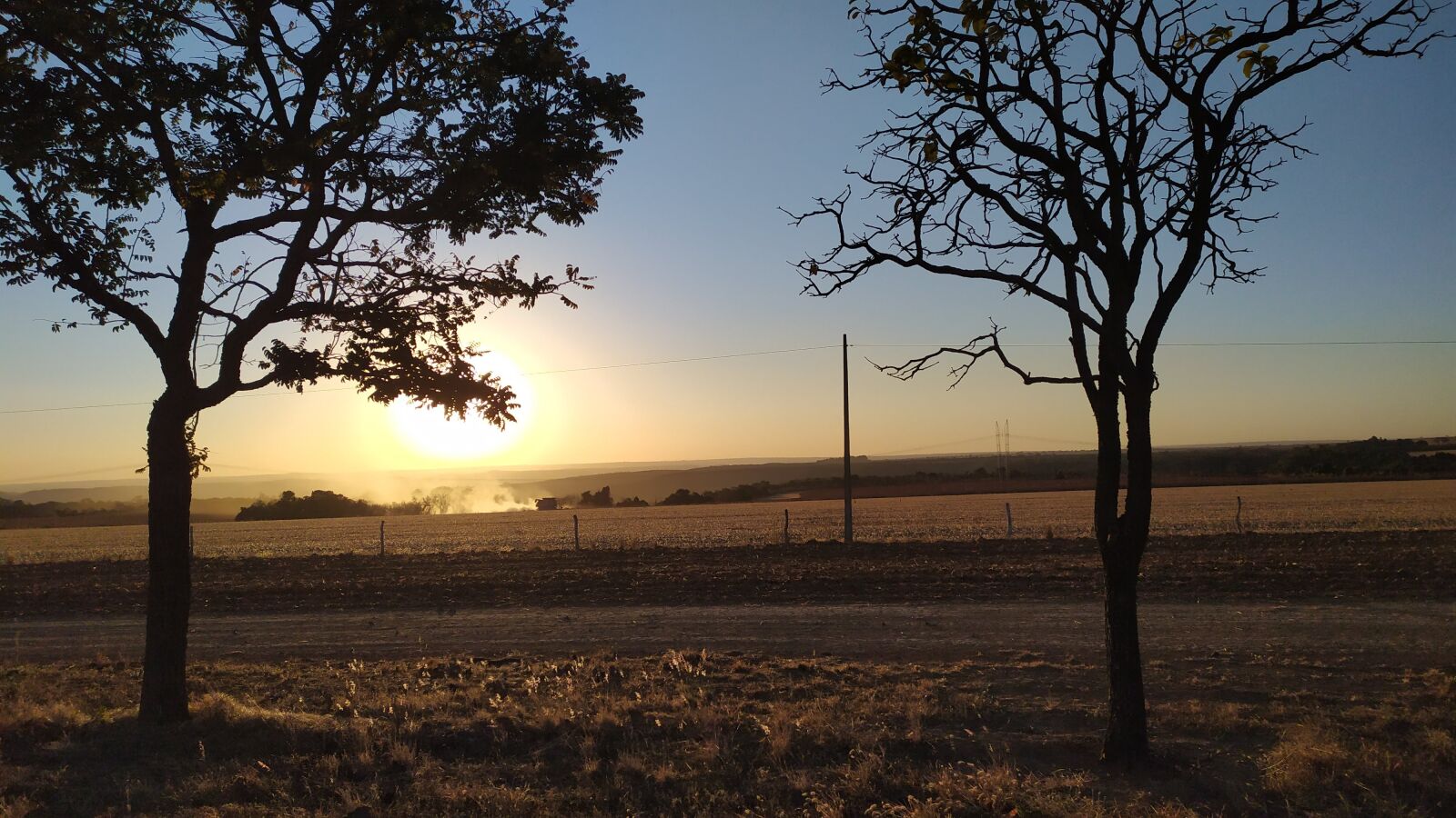 Xiaomi Redmi Note 7 sample photo. Nature, agribusiness, farmer photography