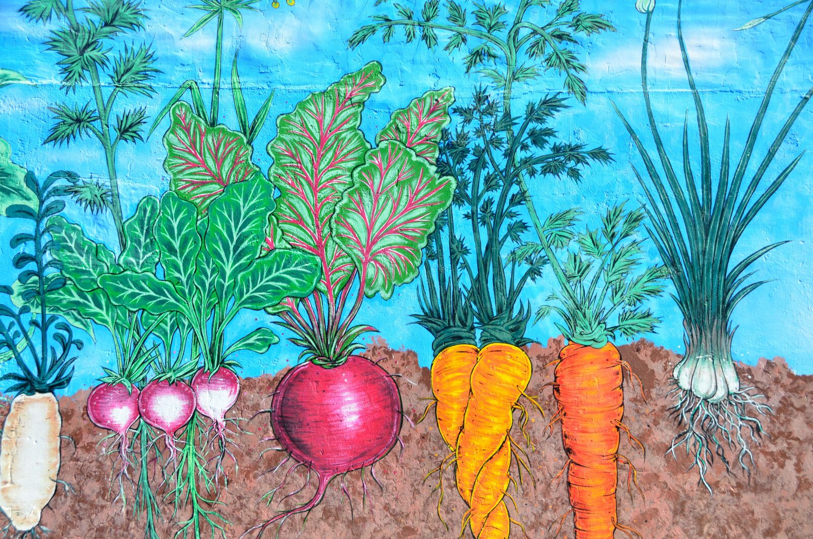 Nikon D7000 sample photo. Wall, mural, background photography