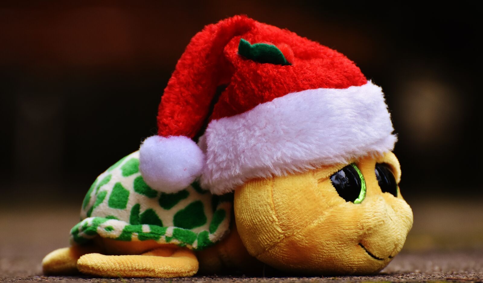 Nikon D7200 sample photo. Christmas, turtle, stuffed animal photography