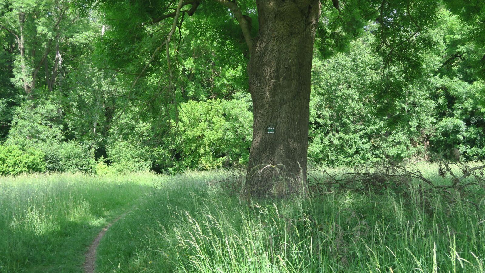 Canon PowerShot G7 X sample photo