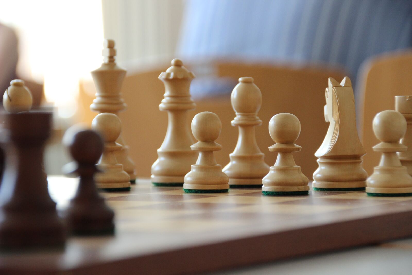 Canon EOS 600D (Rebel EOS T3i / EOS Kiss X5) sample photo. Chess, chess pieces, chess photography