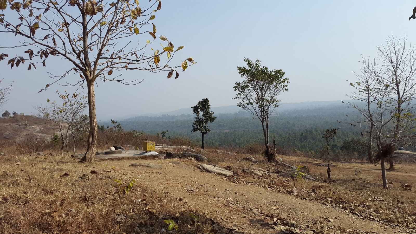 Samsung Galaxy S5 sample photo