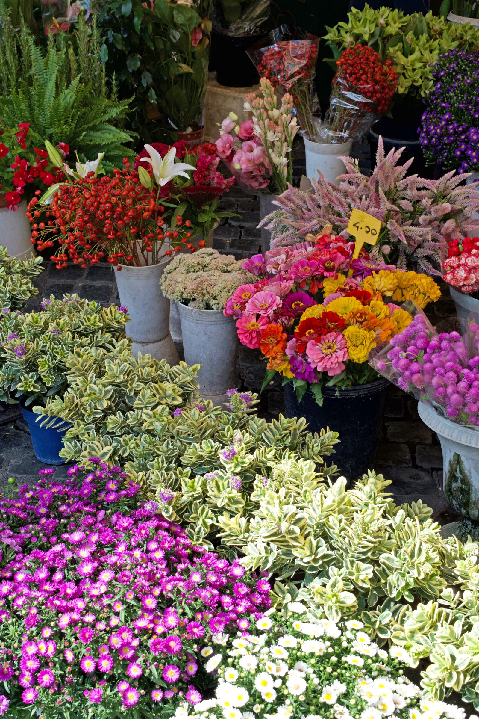Nikon D3300 sample photo. Flowers, plants, market photography