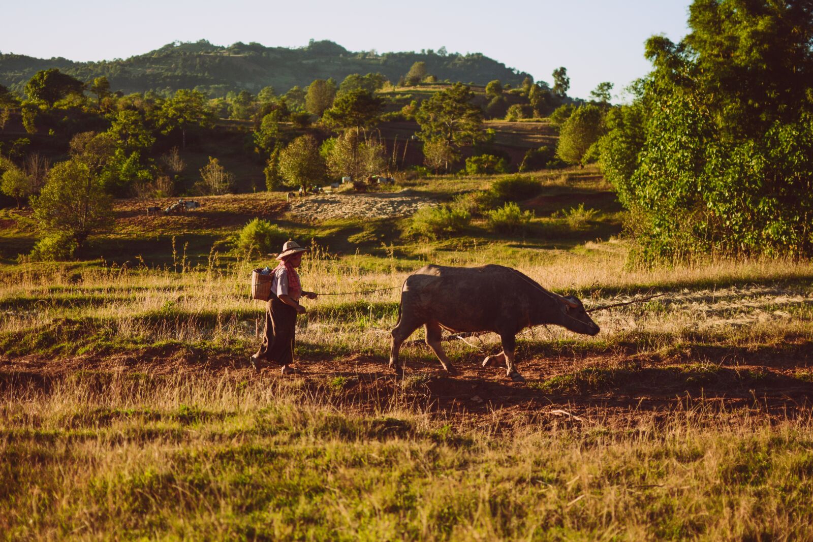 Nikon D7100 sample photo. Myanmar, burma, shan state photography
