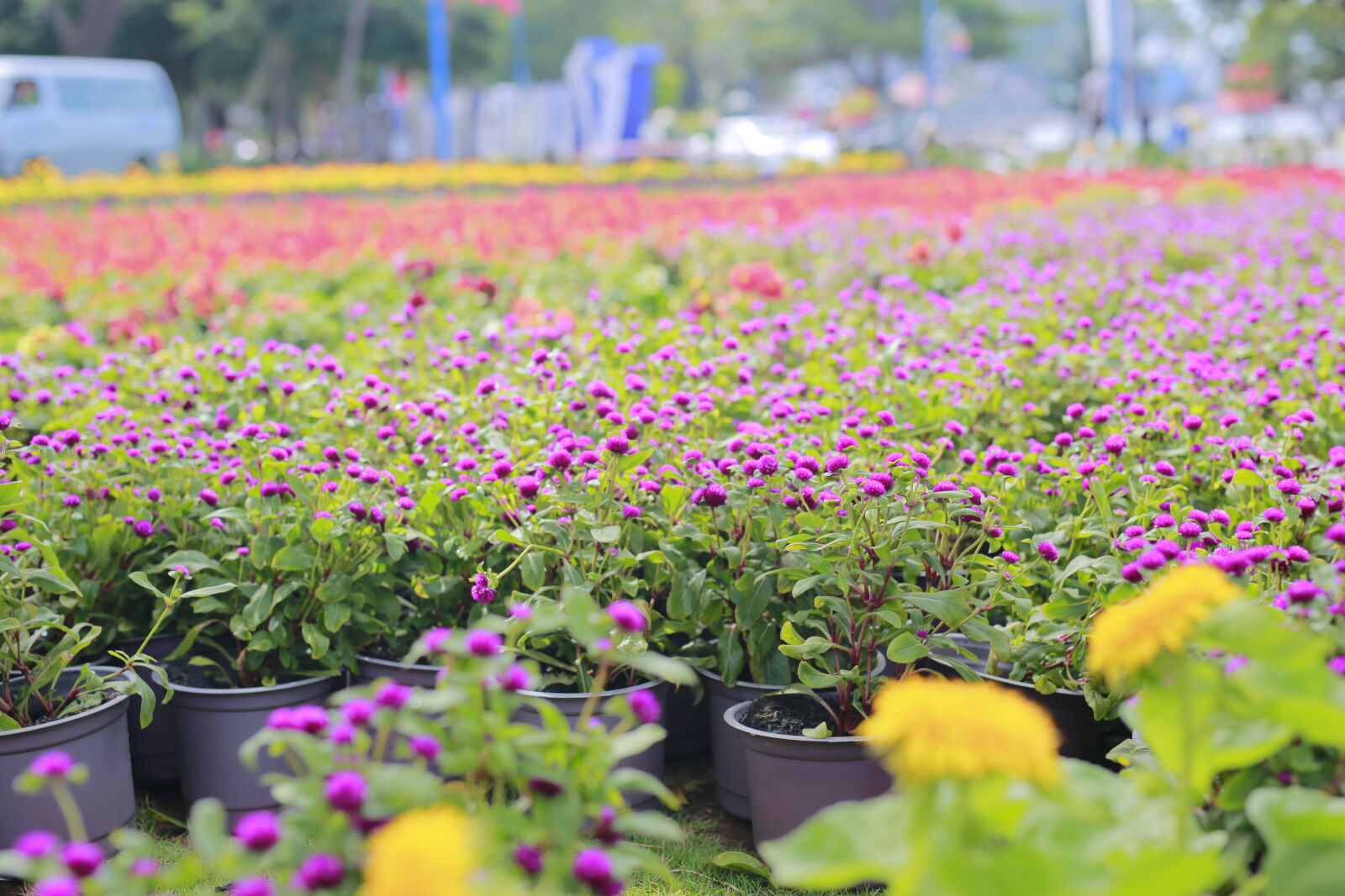 Canon EOS 6D sample photo