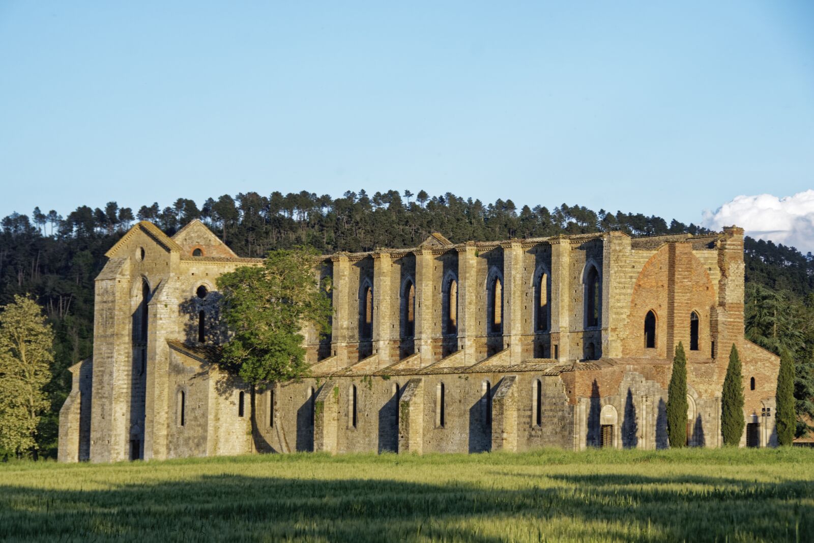Nikon D500 sample photo. Italy, tuscany, abbazia san photography