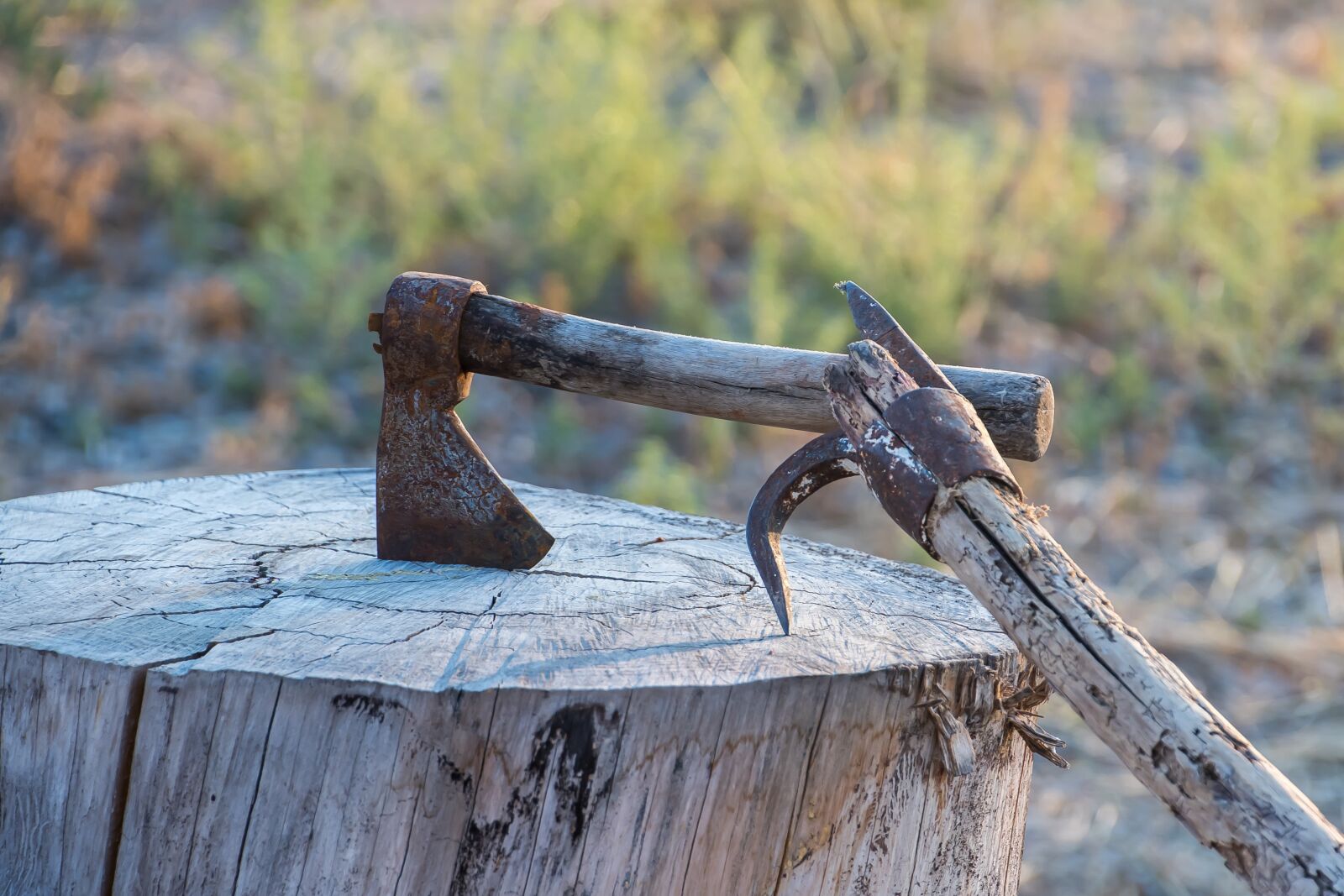 Nikon D7500 sample photo. Axe, wood, tool photography