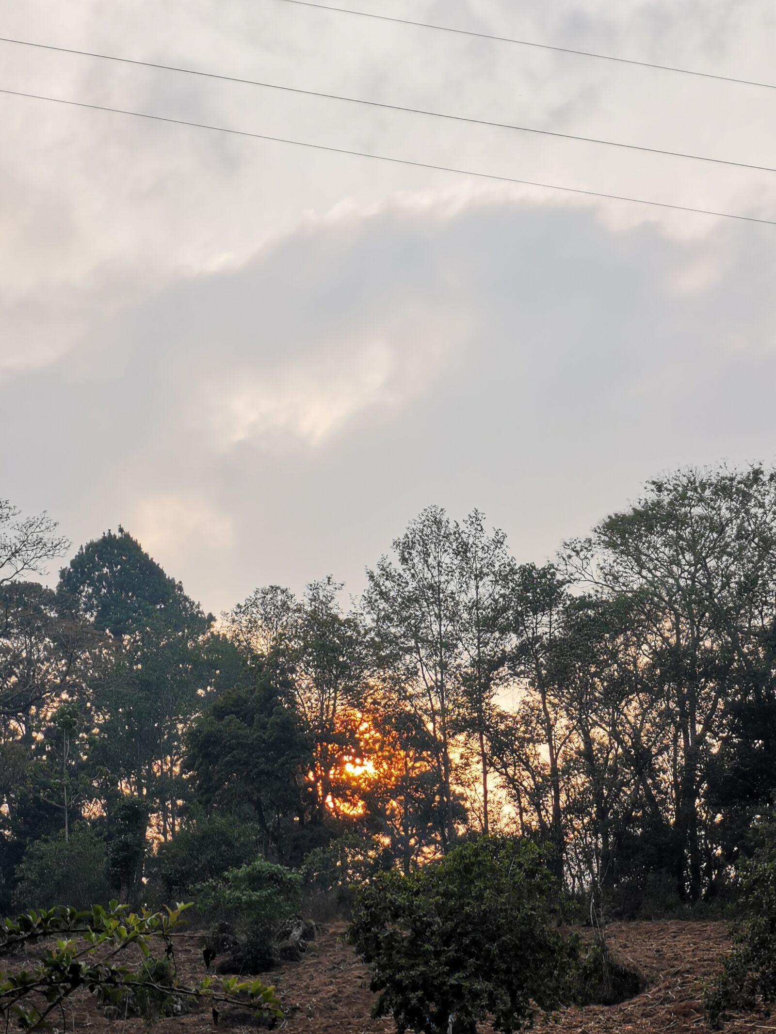 HUAWEI Mate 20 Pro sample photo. Sunset, sun behind trees photography