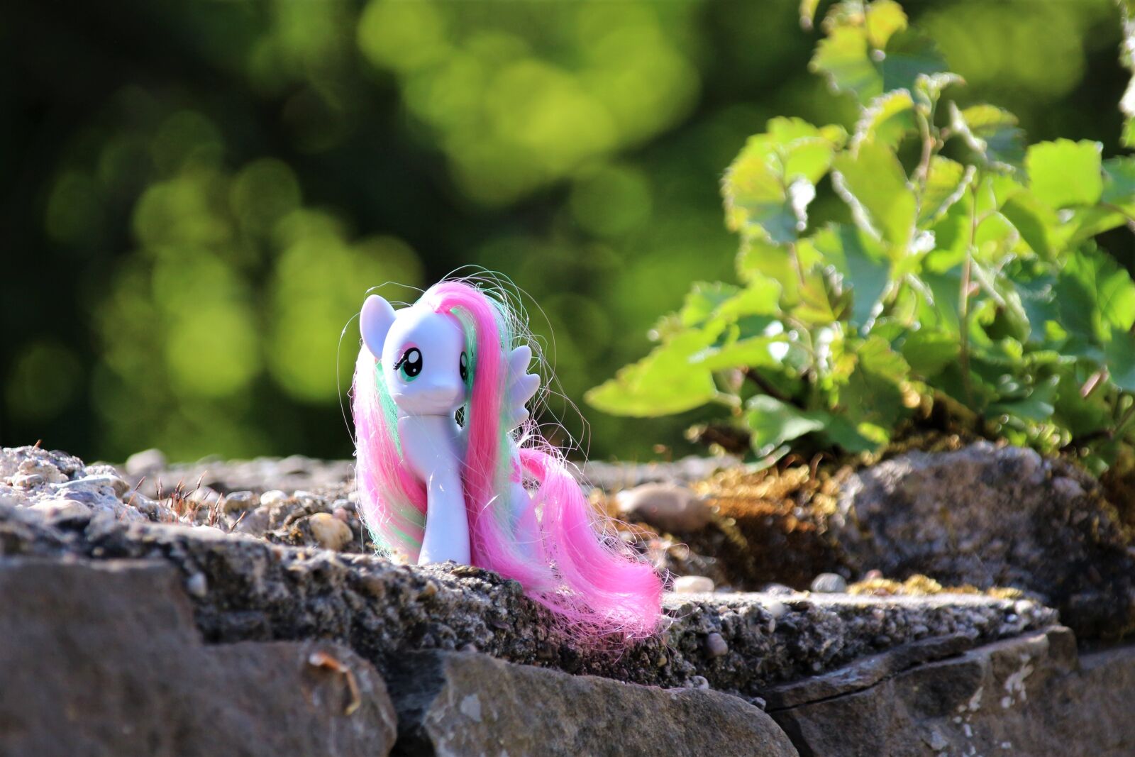 Canon EOS 700D (EOS Rebel T5i / EOS Kiss X7i) sample photo. My little pony, toys photography