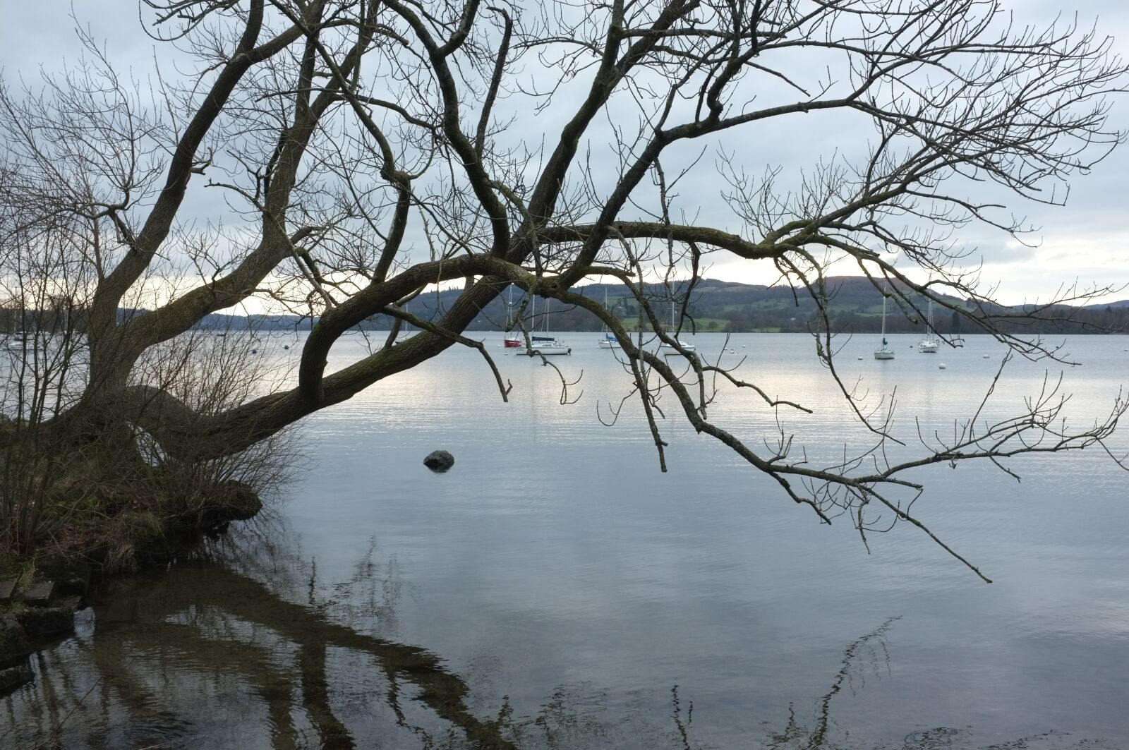 Fujifilm FinePix X100 sample photo. Lake, tree, landscape photography