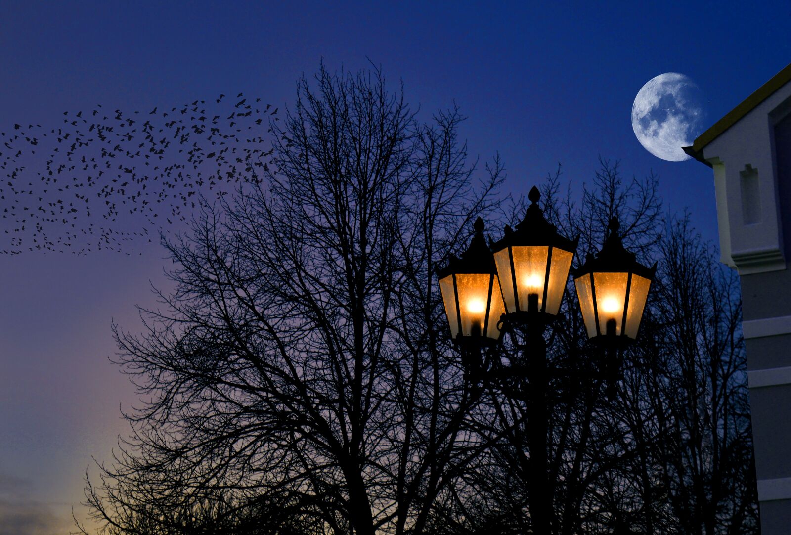 Nikon D3200 sample photo. Abendstimmung, moonlight, moon photography