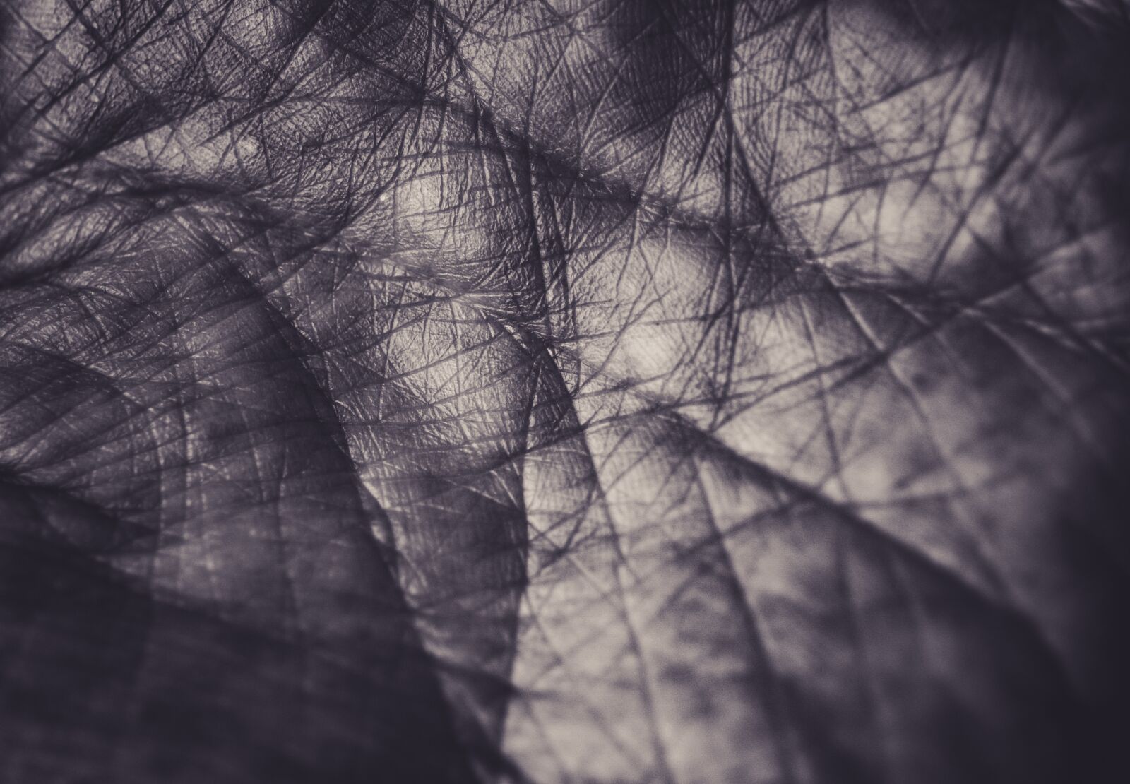 Nikon D610 sample photo. Hand, lines, life line photography
