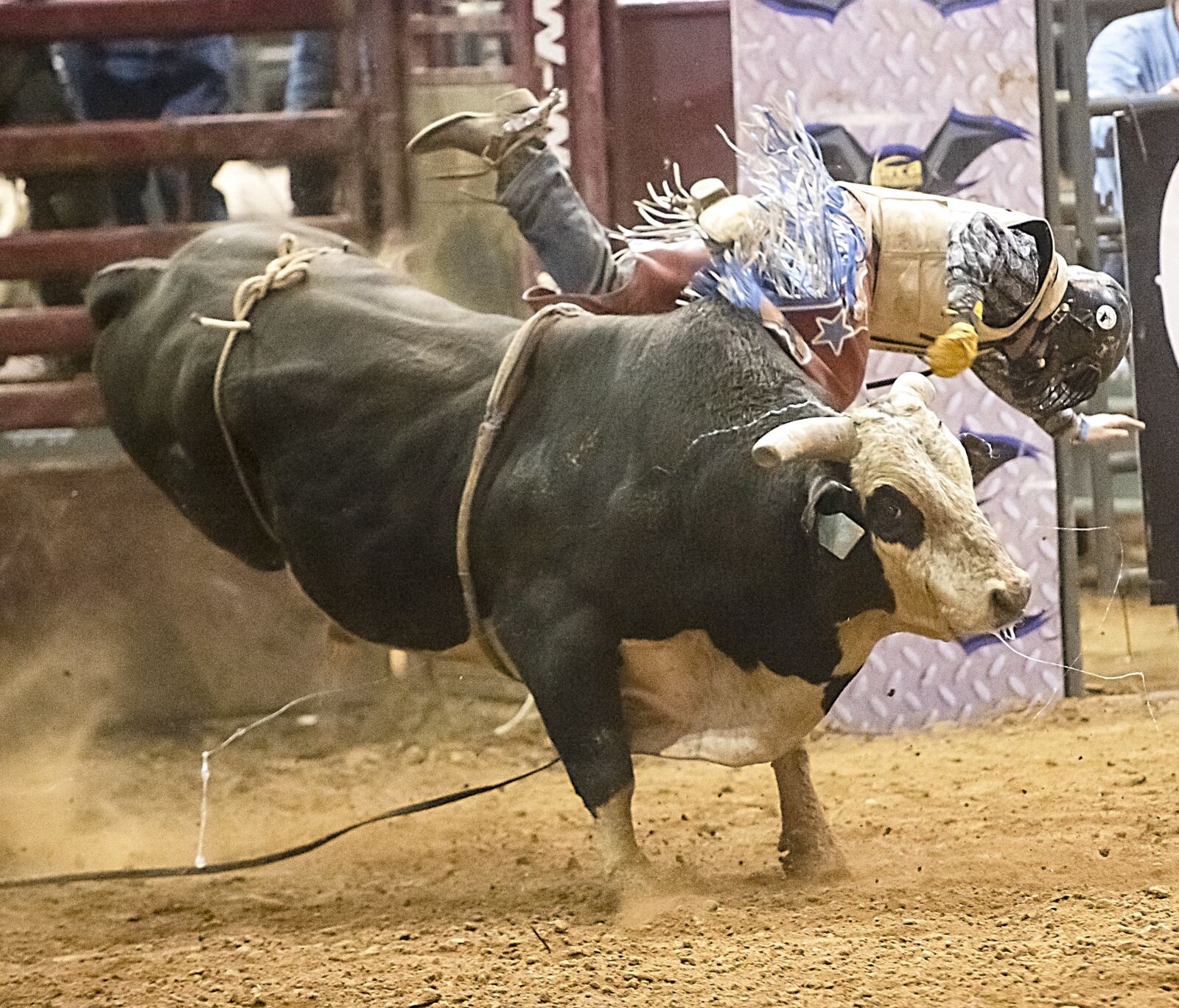 Nikon D850 sample photo. Bull, bull riding, rodeo photography