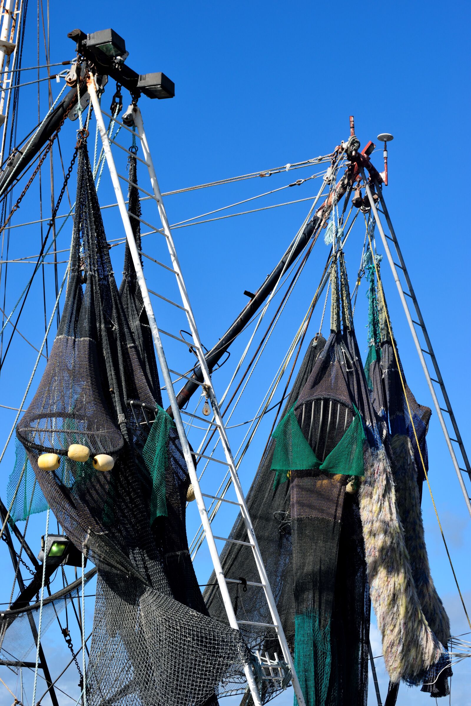 Nikon D3300 sample photo. Commercial fishing nets, shrimp photography