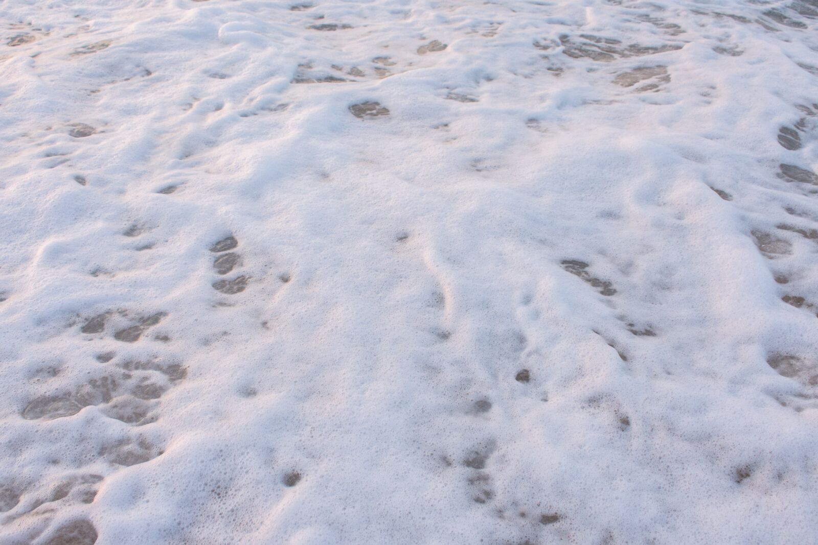 Nikon D7200 sample photo. Sea, foam, coast photography
