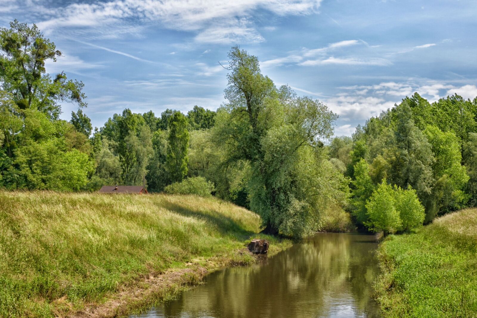 Nikon D750 sample photo. Neuburg am rhein, green photography