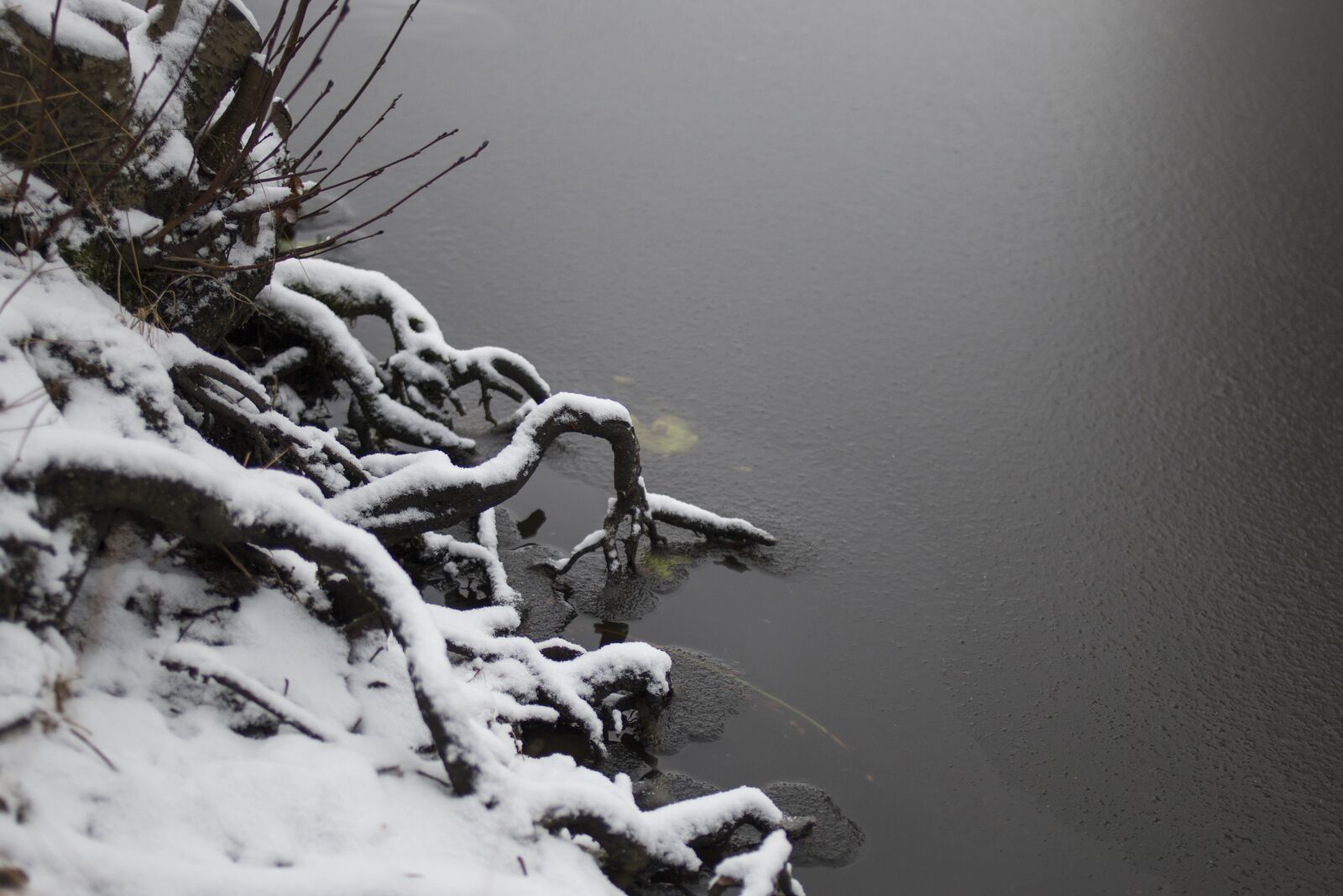 Canon EOS 70D + Canon EF 35mm F2 sample photo. Pond, park, ice photography