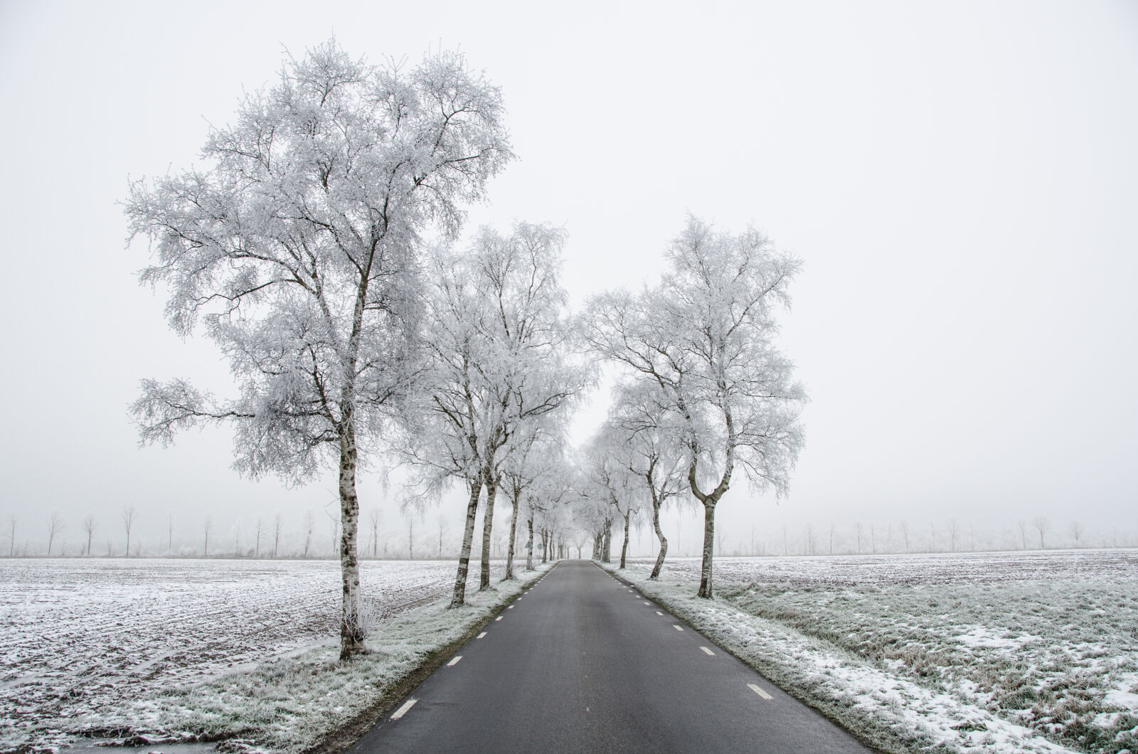 Nikon D7000 sample photo. Cold, countryside, dawn, foggy photography