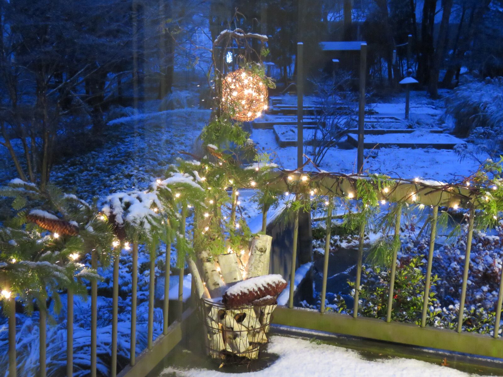 Canon PowerShot SX60 HS sample photo. Christmas season, back deck photography