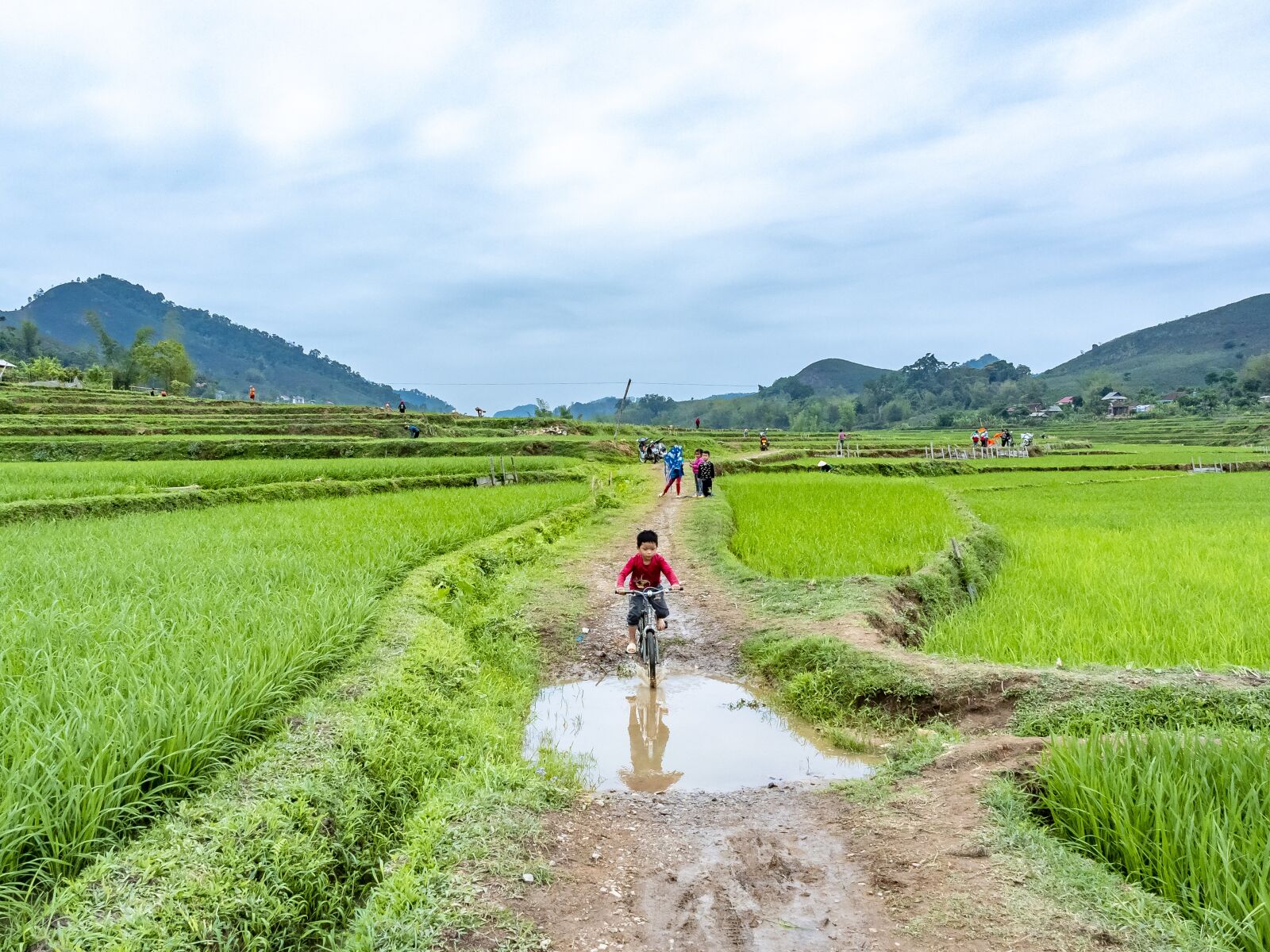 Olympus OM-D E-M1 Mark II + Olympus M.Zuiko Digital ED 12-40mm F2.8 Pro sample photo. Rice fields, bicycles, water photography