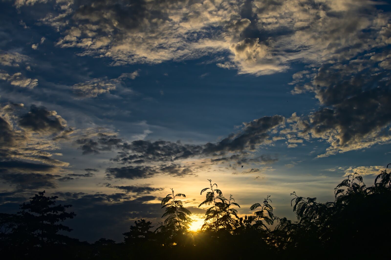 Nikon D500 sample photo. Dusk, twilight, clouds photography
