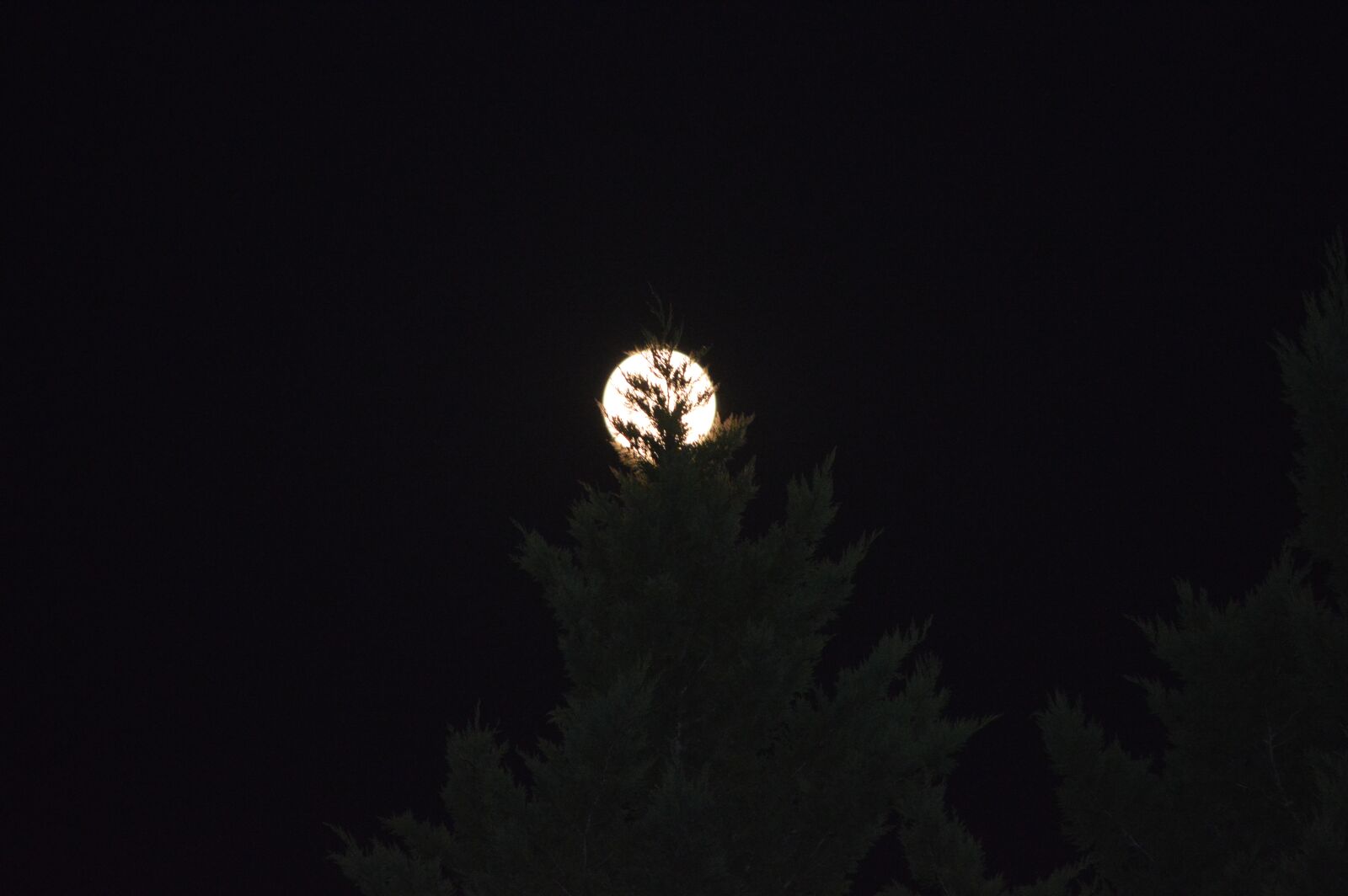 Nikon D3200 sample photo. Moon, benson nc, dc photography