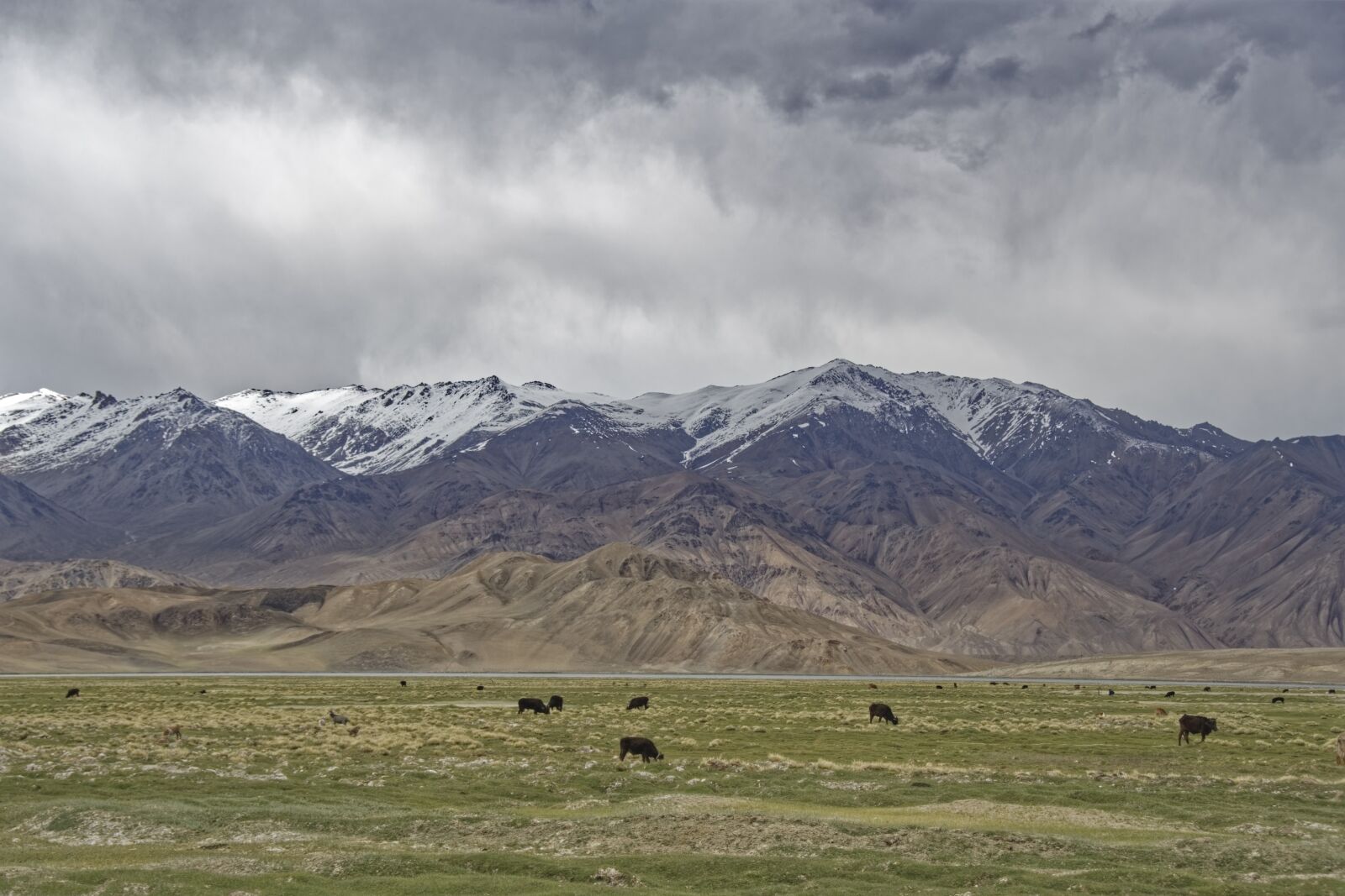 Nikon D500 sample photo. Tajikistan, badakhshan national park photography