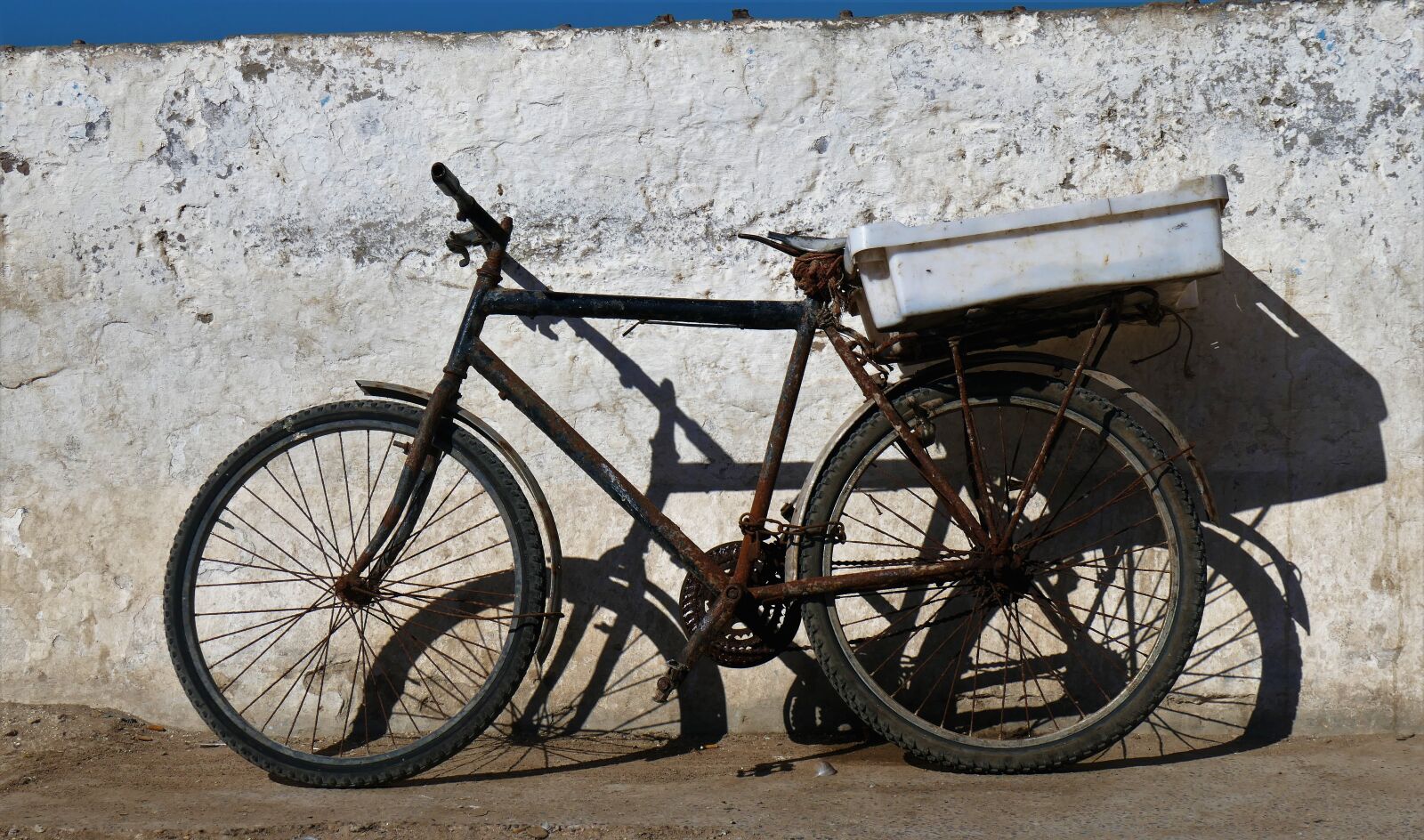Panasonic DMC-TZ101 sample photo. Bike, old bicycle, gents photography