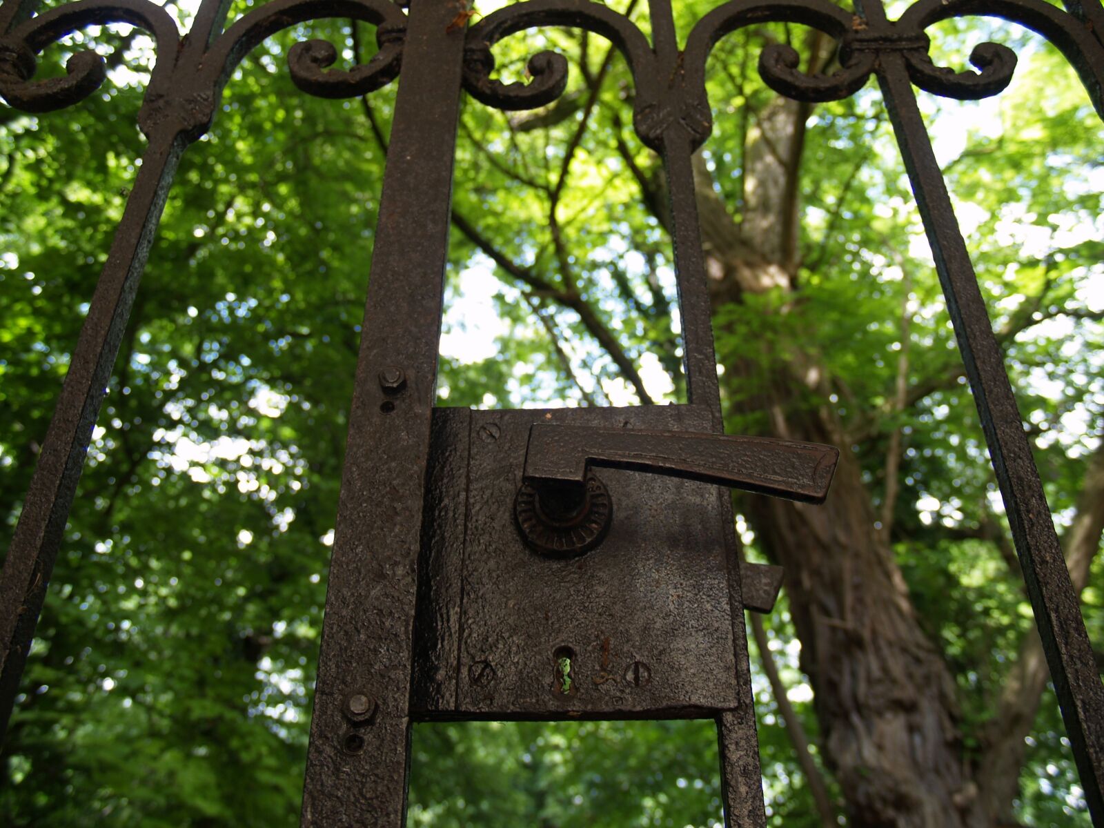 Olympus E-500 (EVOLT E-500) sample photo. Goal, castle, input photography