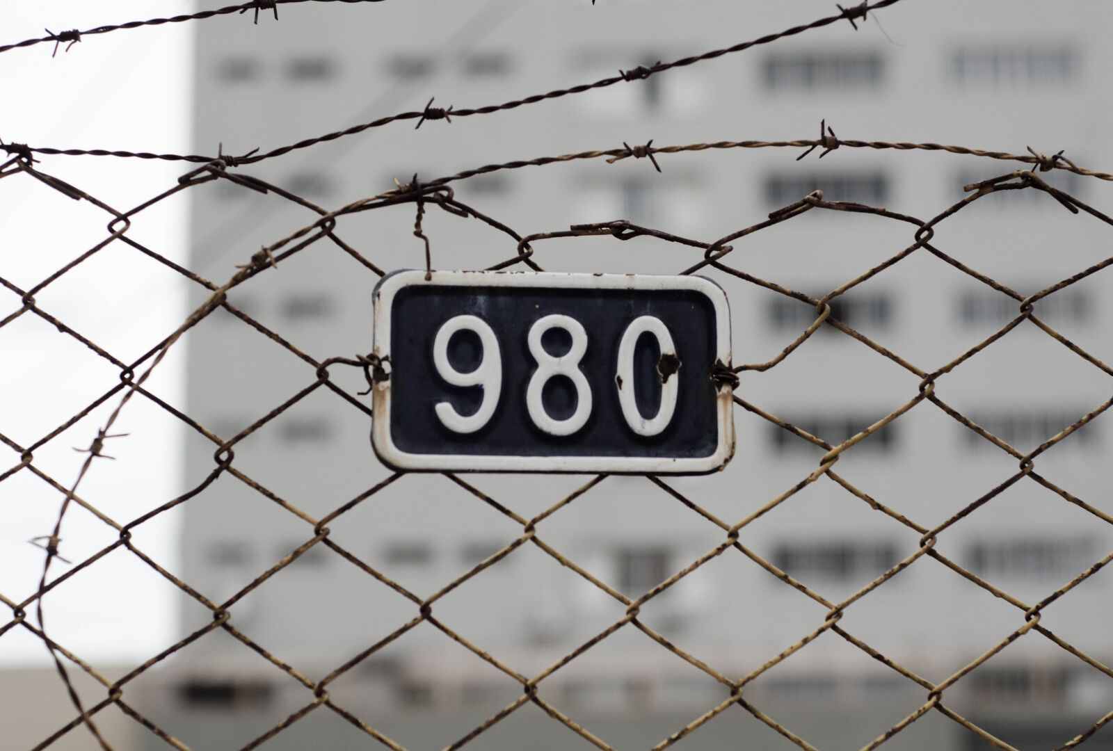 Nikon AF Nikkor 50mm F1.8D sample photo. Barb, wires, barbed, wire photography