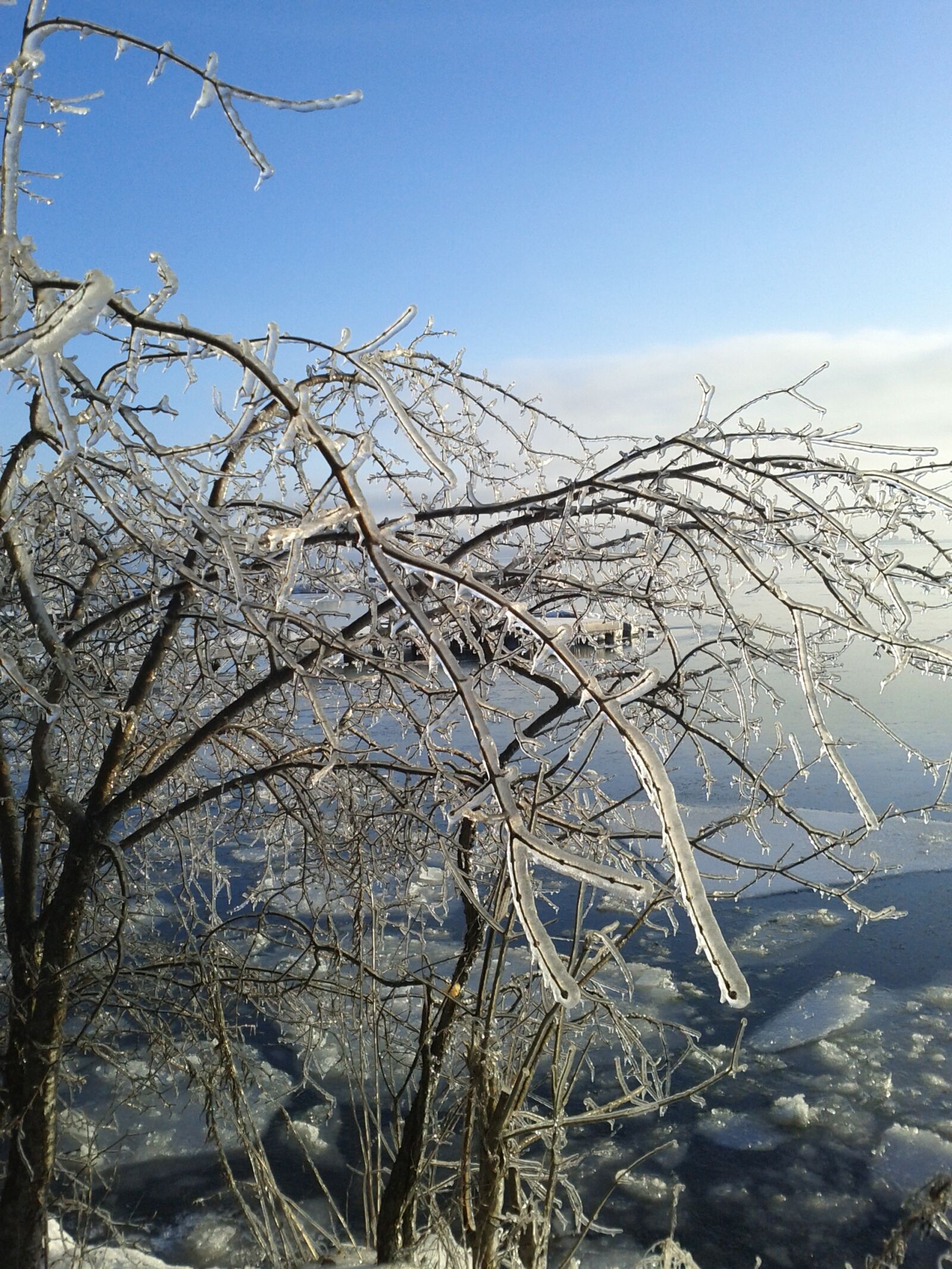 Google Nexus S sample photo. Winter, ice storm, cold photography