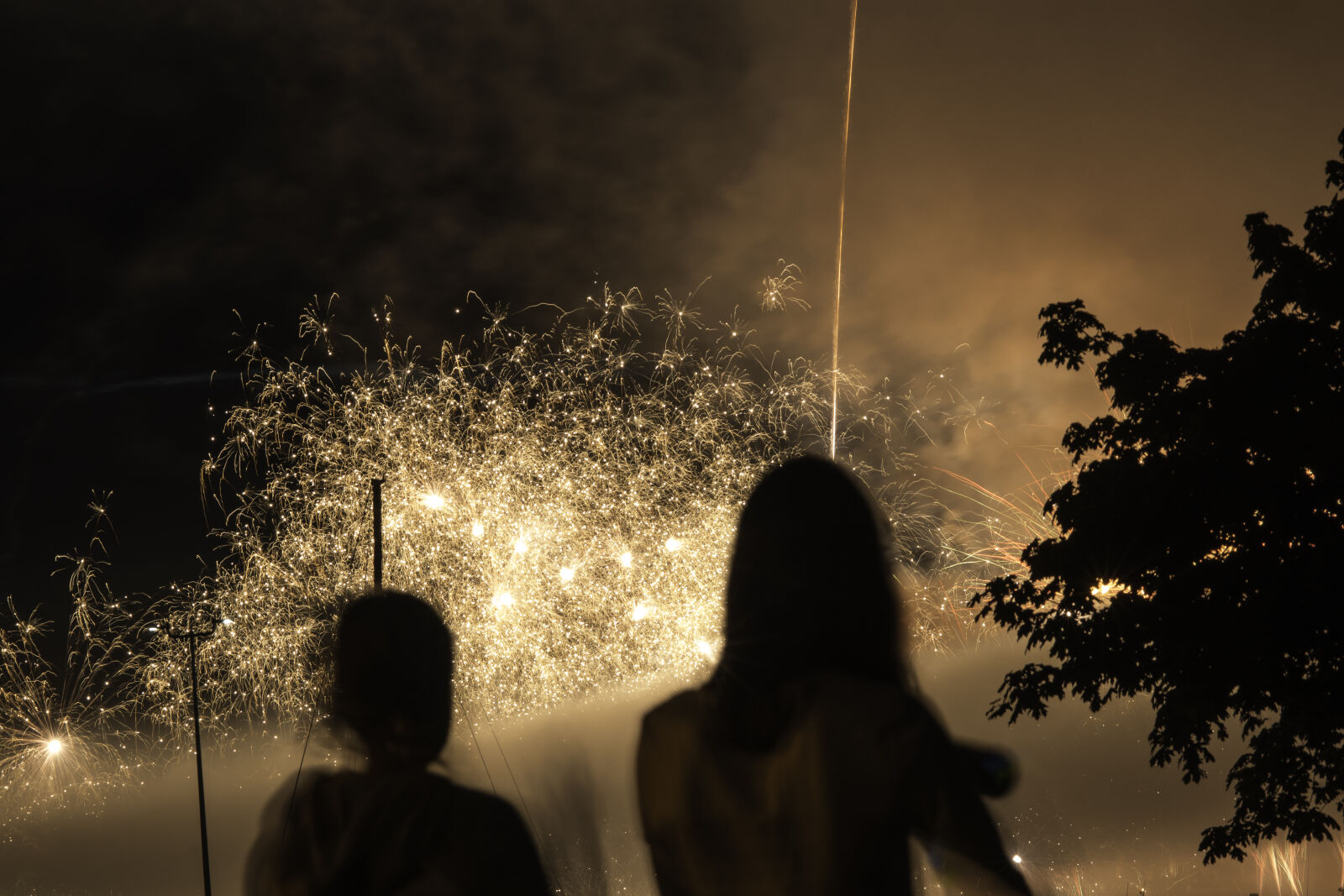 Nikon AF-S Micro-Nikkor 105mm F2.8G IF-ED VR sample photo. Fireworks, silhouette photography