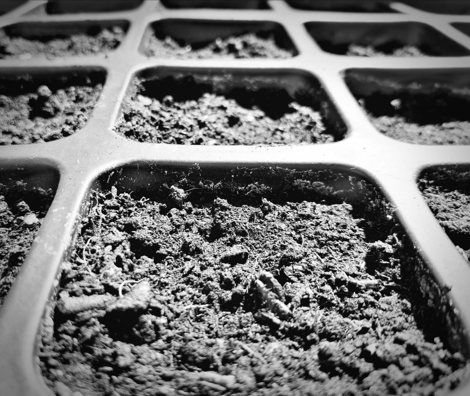Samsung Galaxy A5(2017) sample photo. Plant, trays, soil photography