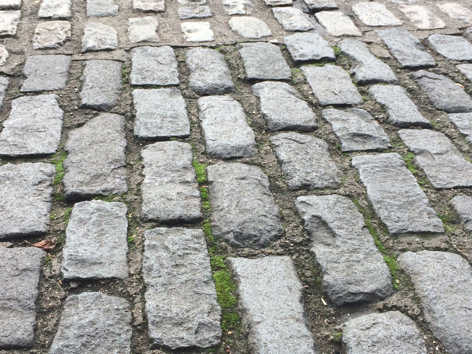 iPhone 5s back camera 4.15mm f/2.2 sample photo. Paving stones, calzada, soil photography