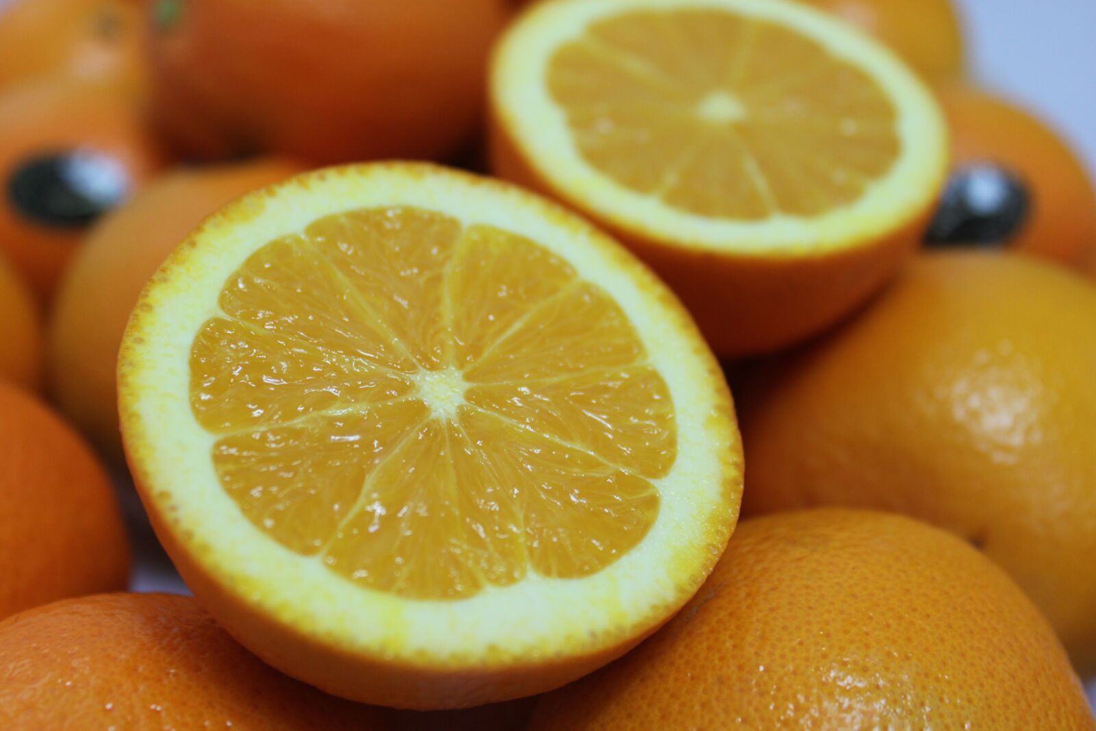 Canon EOS 500D (EOS Rebel T1i / EOS Kiss X3) sample photo. Orange, fruit, citrus photography
