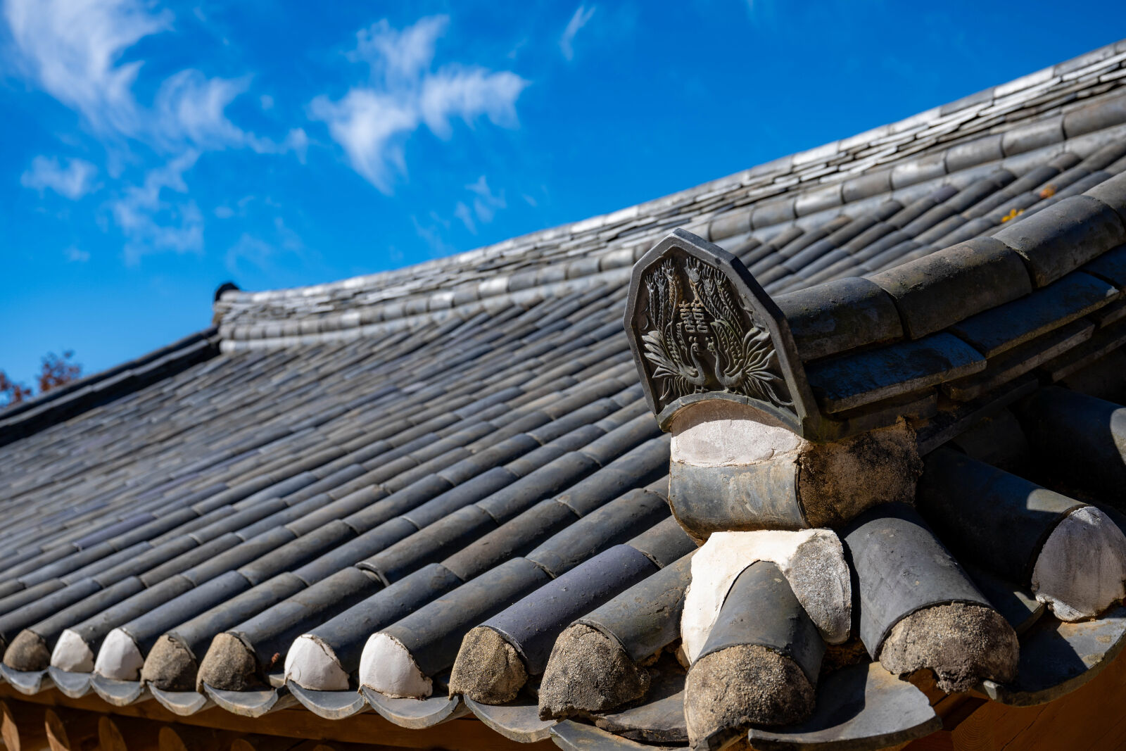 Nikon Nikkor Z 24-70mm F2.8 S sample photo