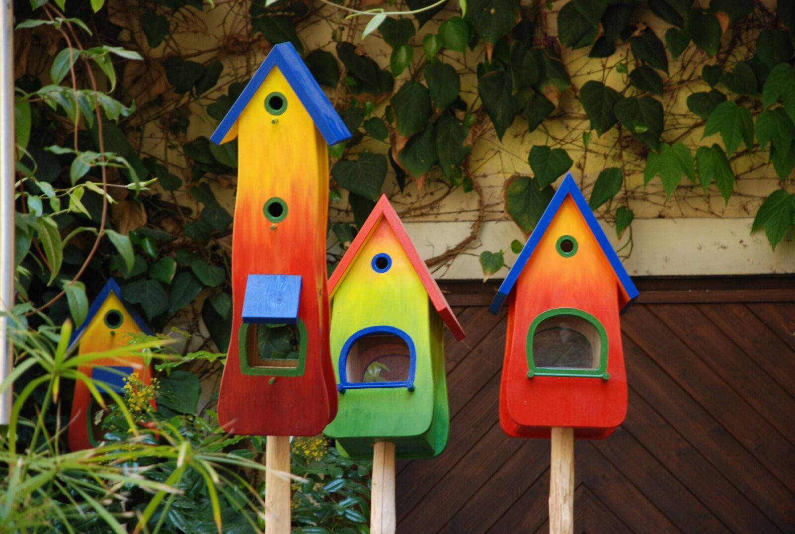 Nikon D80 sample photo. Colorful, bird feeder, nesting photography