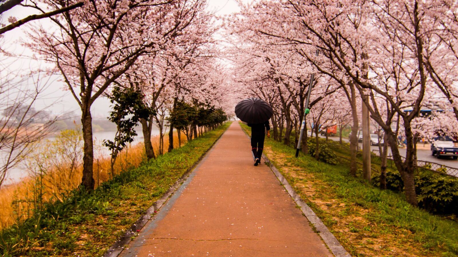 Canon EOS 70D sample photo. Waling, rainy, umbrella photography