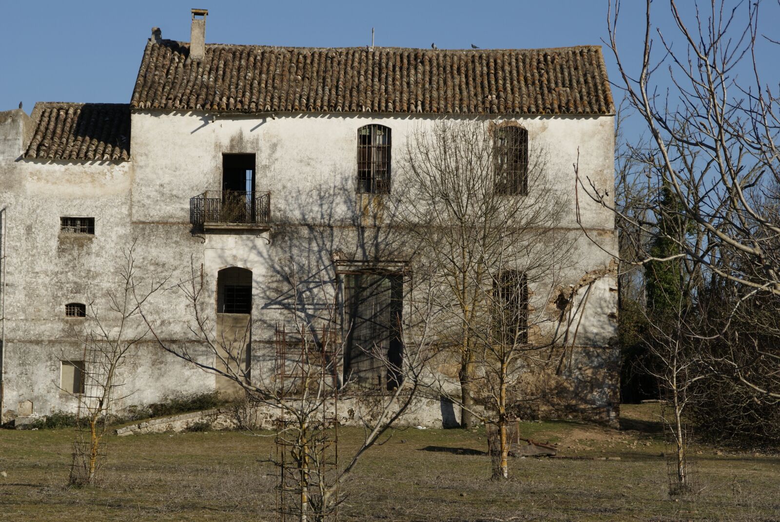 Sony Alpha DSLR-A230 sample photo. Old house, house abandoned photography