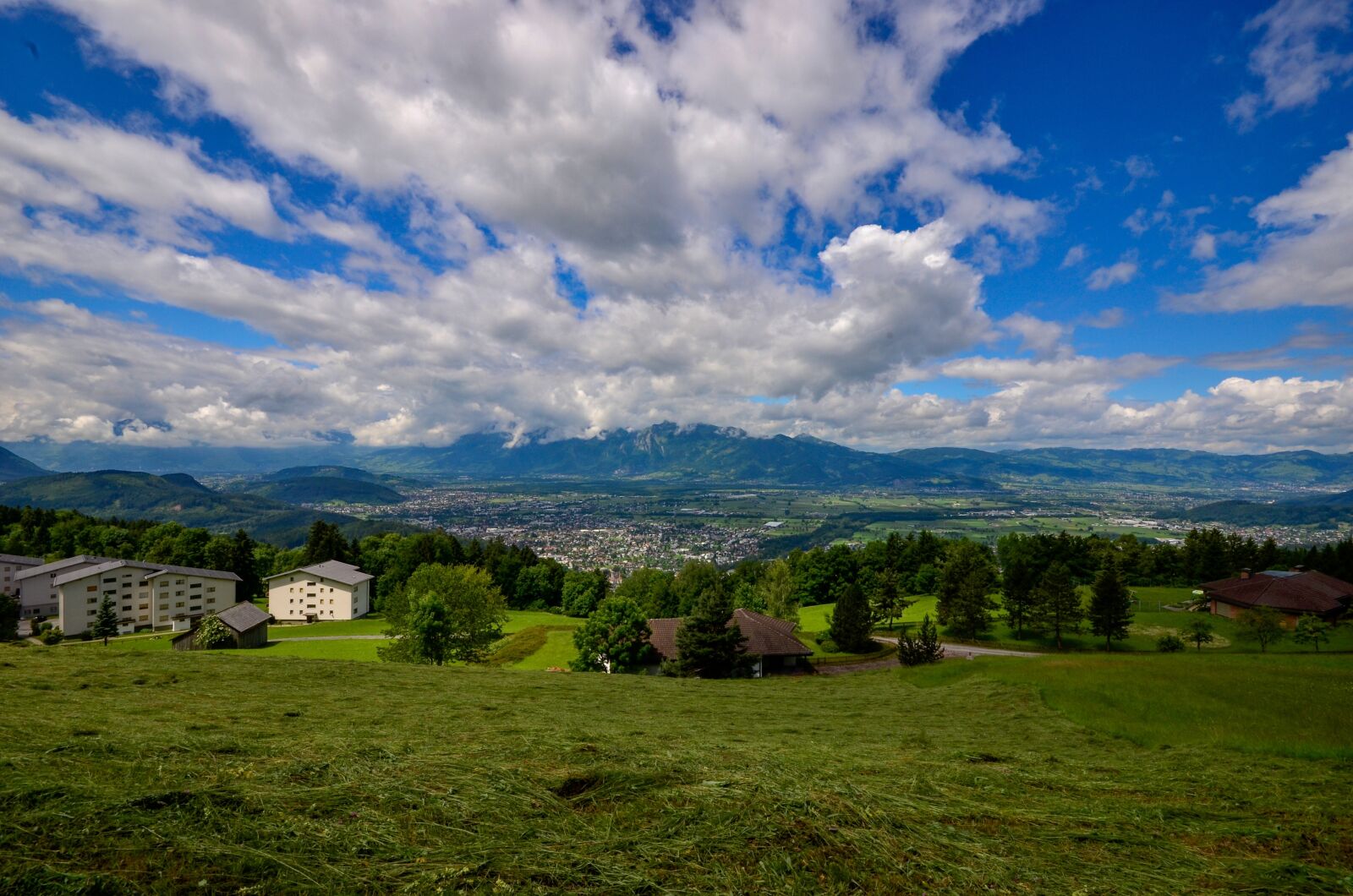 Nikon D7000 sample photo. Grass, landscape, nature photography
