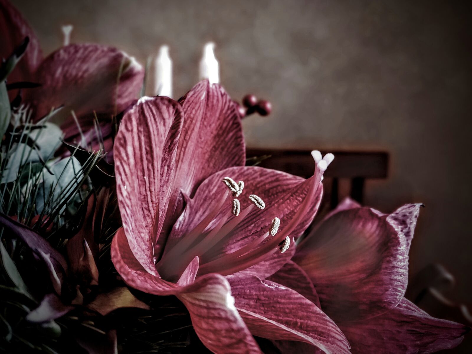 OnePlus 6 sample photo. Flower, red, purple photography
