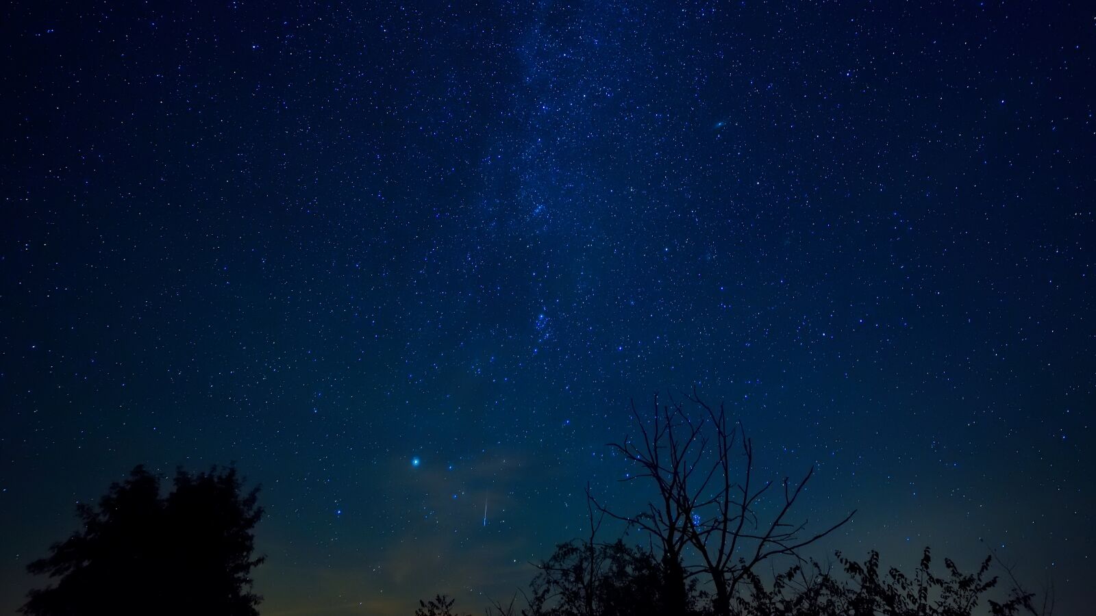 Nikon D750 sample photo. Sky, stars, night photography