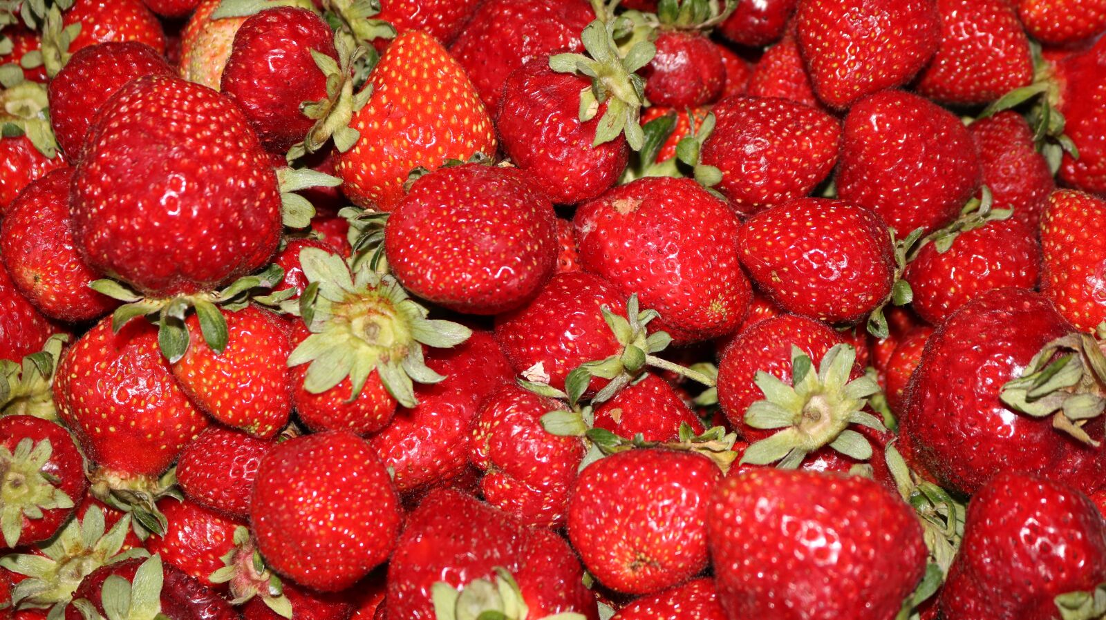 Canon EOS 750D (EOS Rebel T6i / EOS Kiss X8i) sample photo. Strawberry, fruit, healthy photography