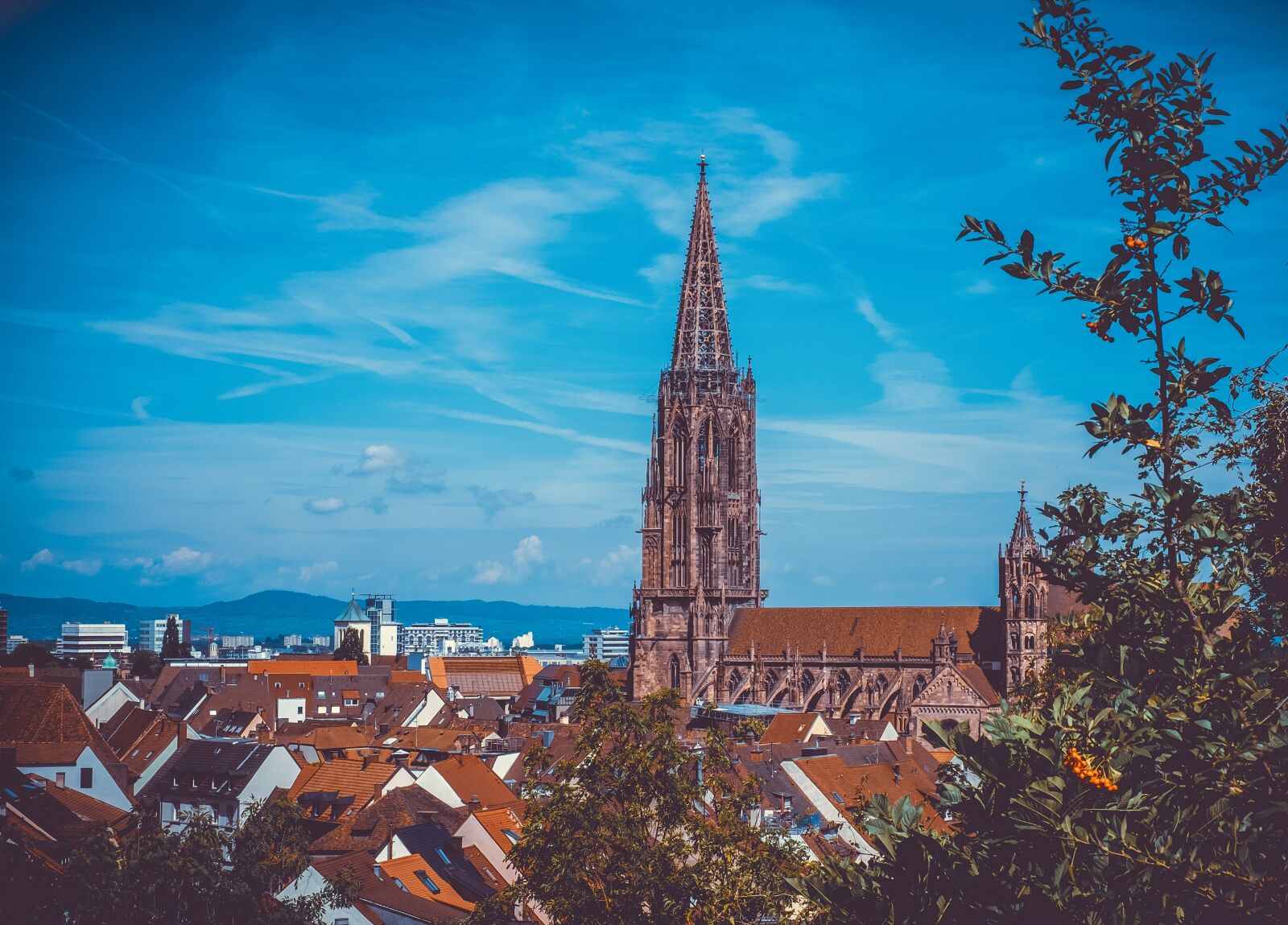 Fujifilm X-T10 + Fujifilm XF 35mm F1.4 R sample photo. Freiburg, city, münster photography